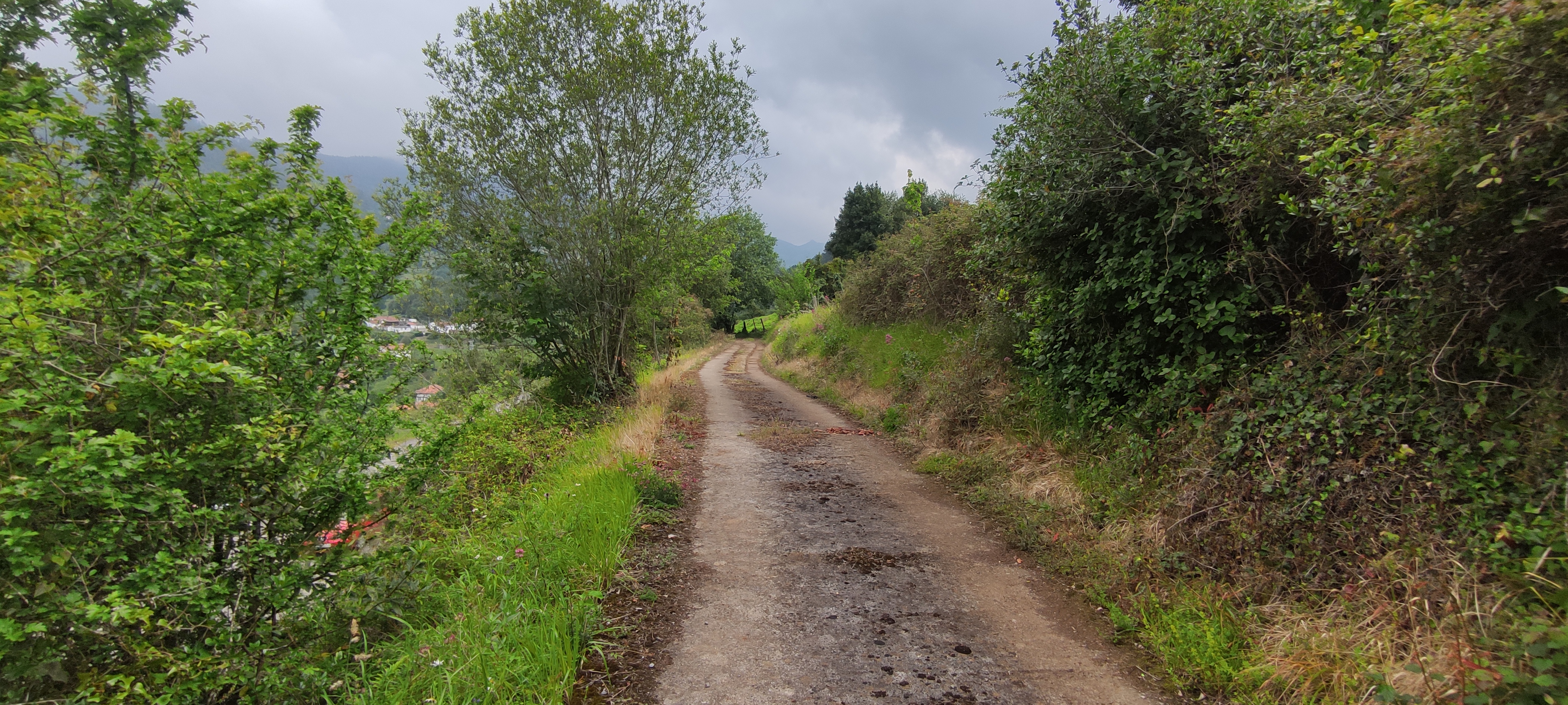 Foto del camino