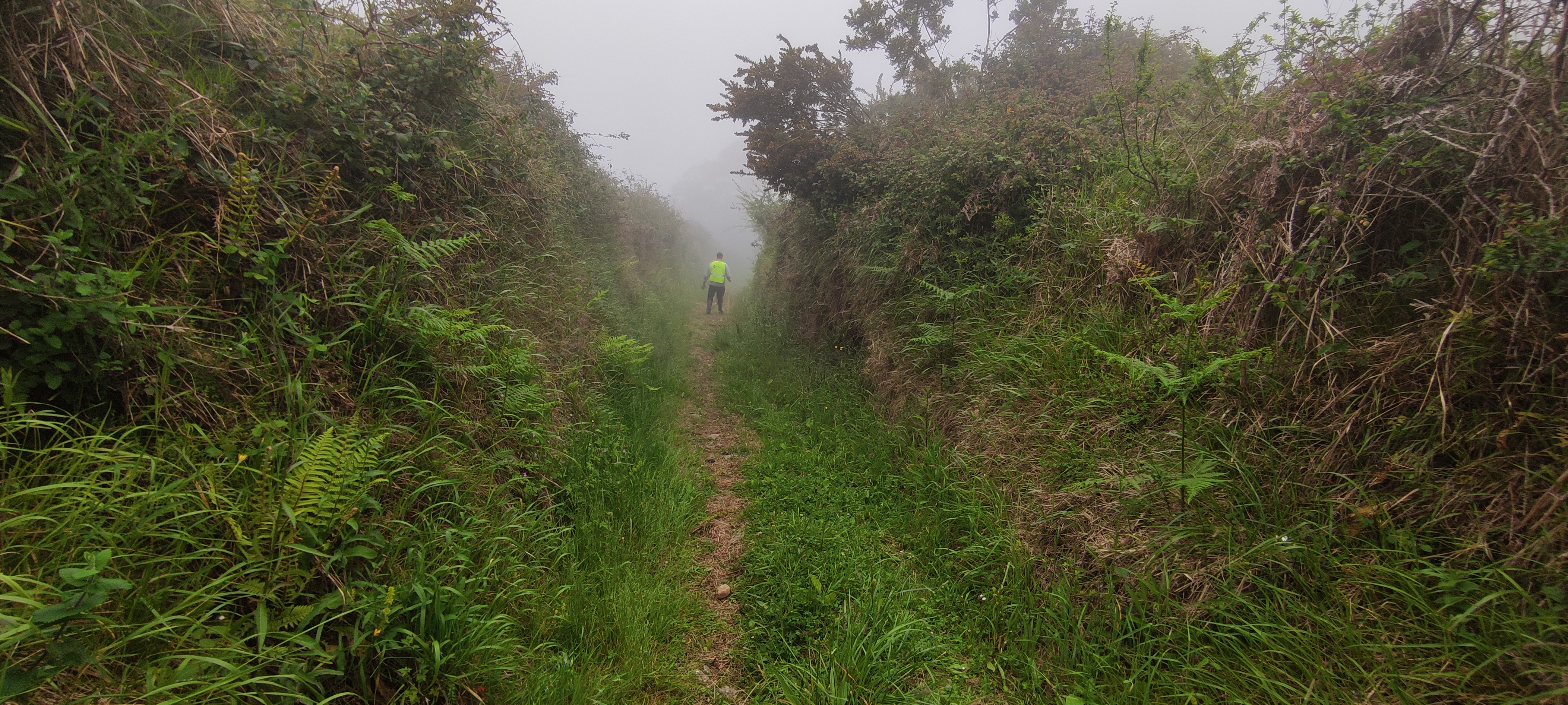 Foto del camino