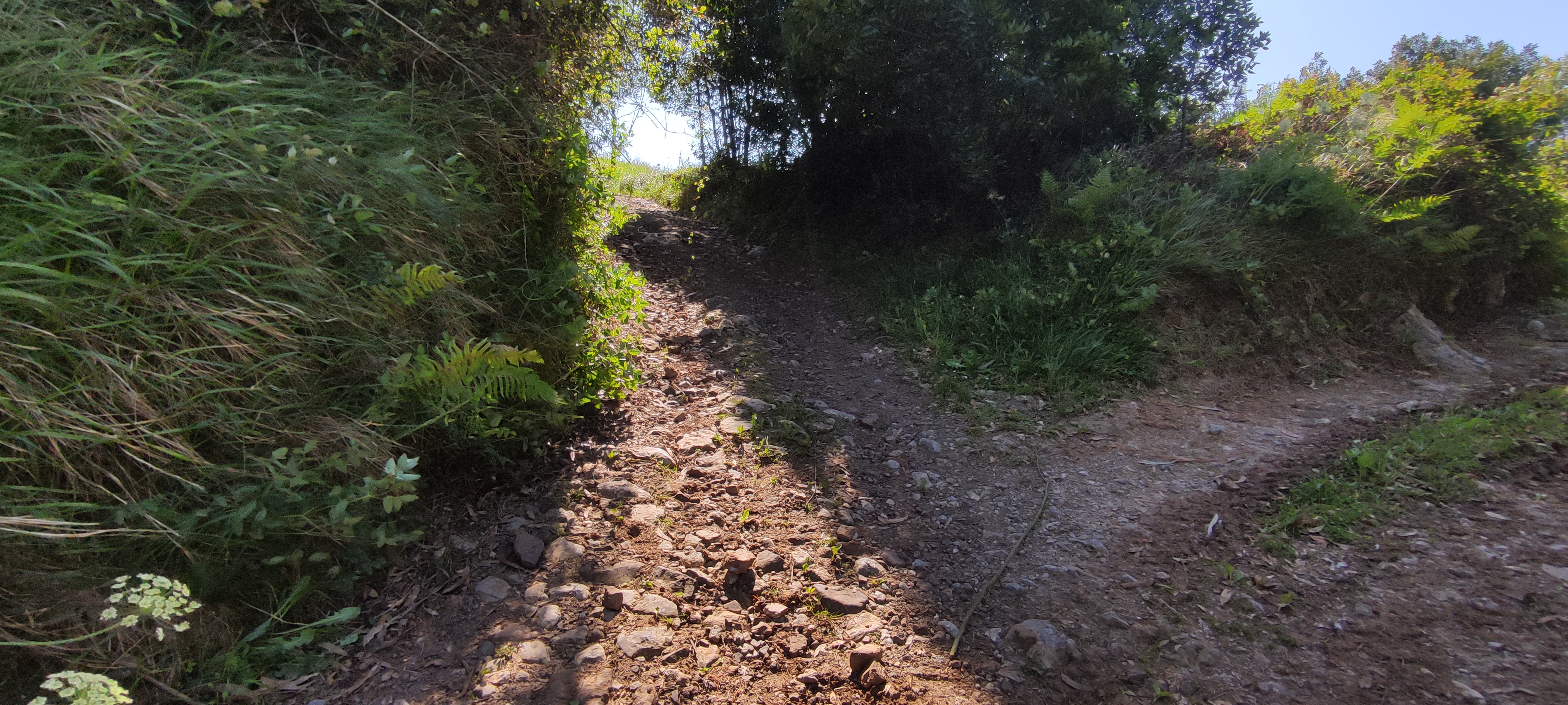 Foto del camino