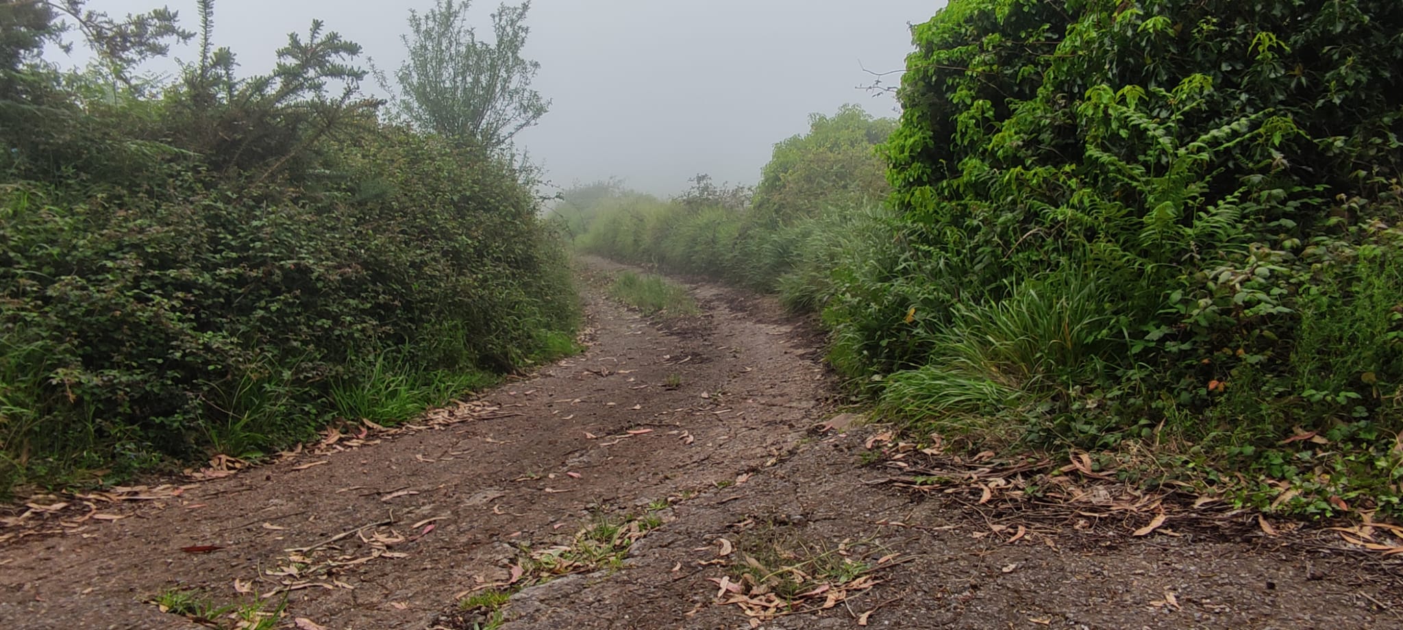 Foto del camino