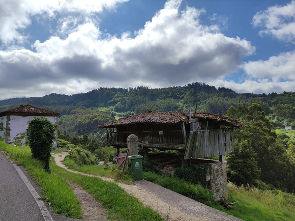 Foto del camino