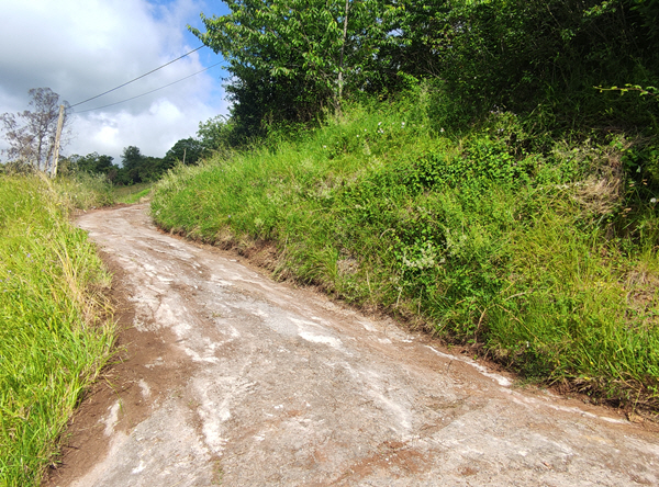 Foto del camino