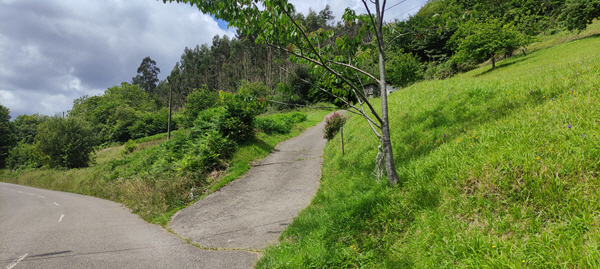 Foto del camino