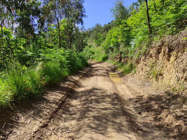 Foto del camino