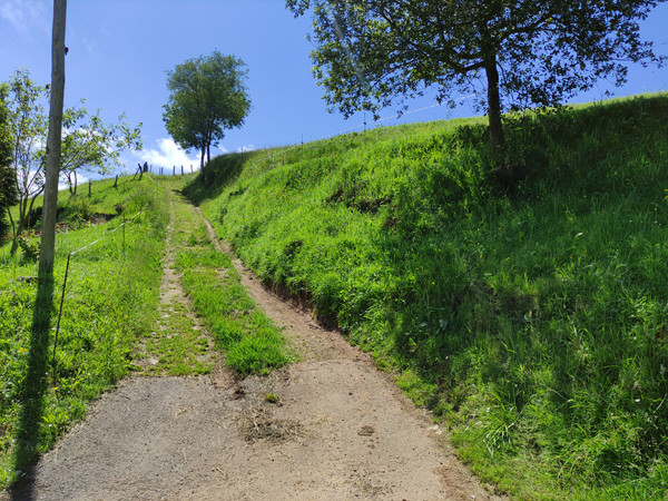 Foto del camino