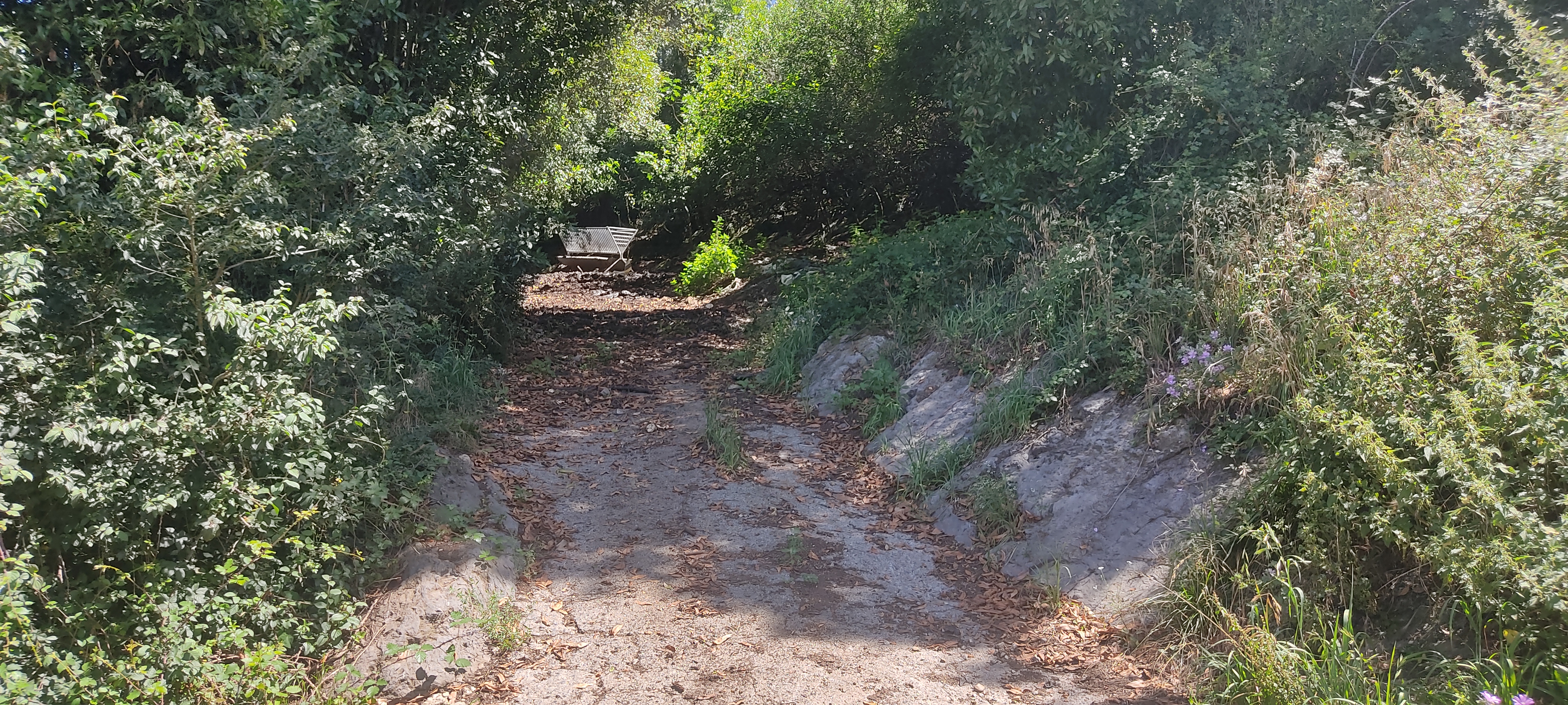 Foto del camino