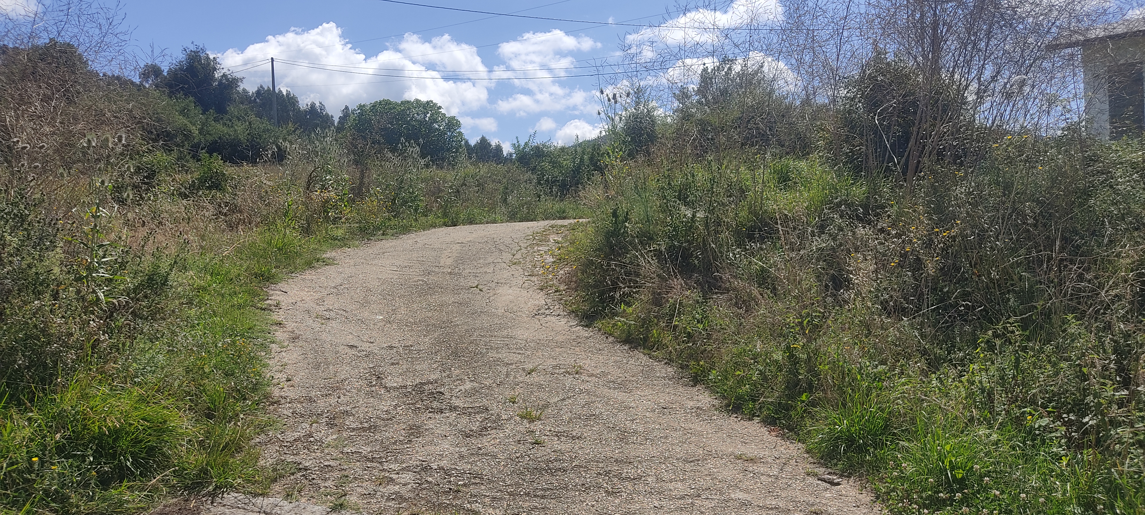 Foto del camino