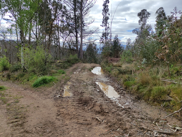 Foto del camino