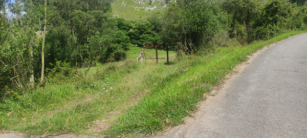 Foto del camino