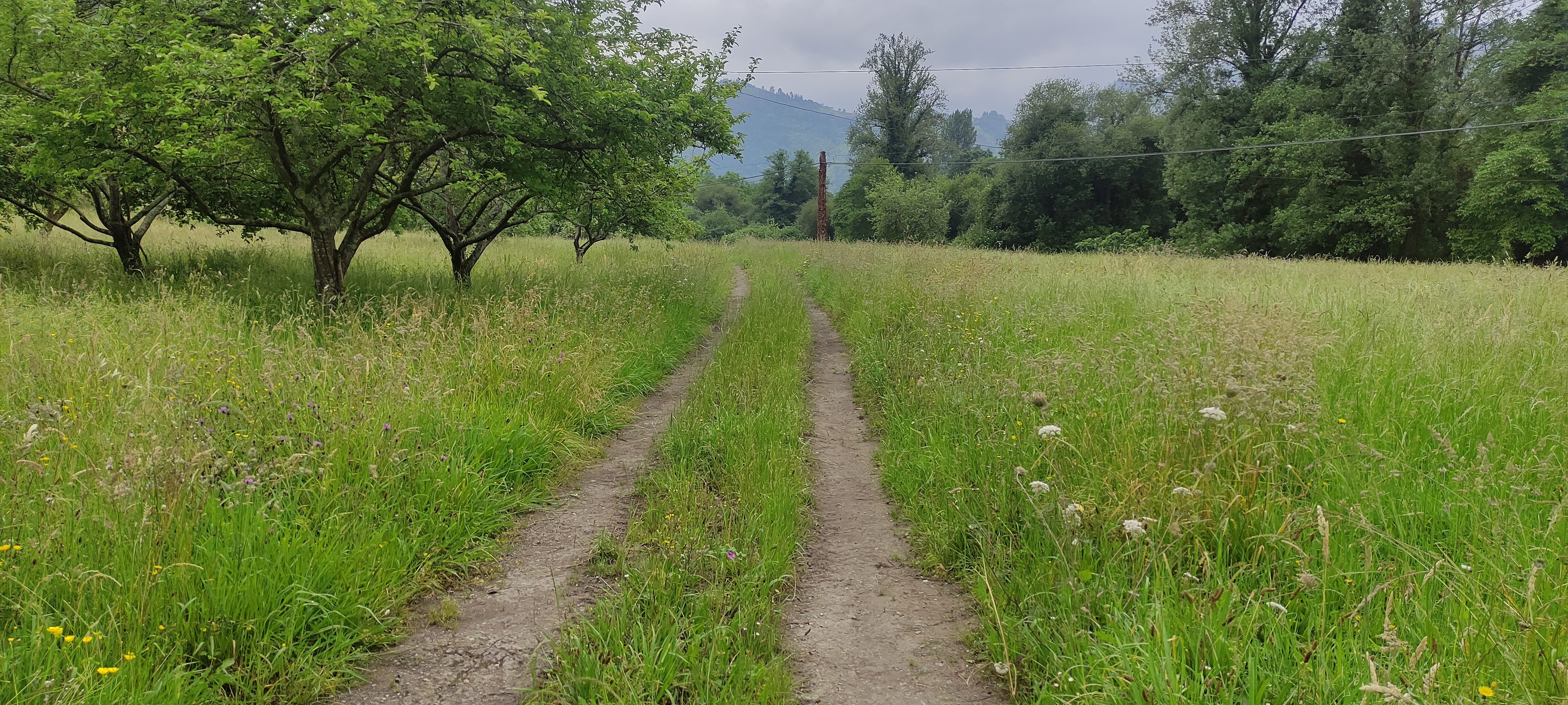 Foto del camino
