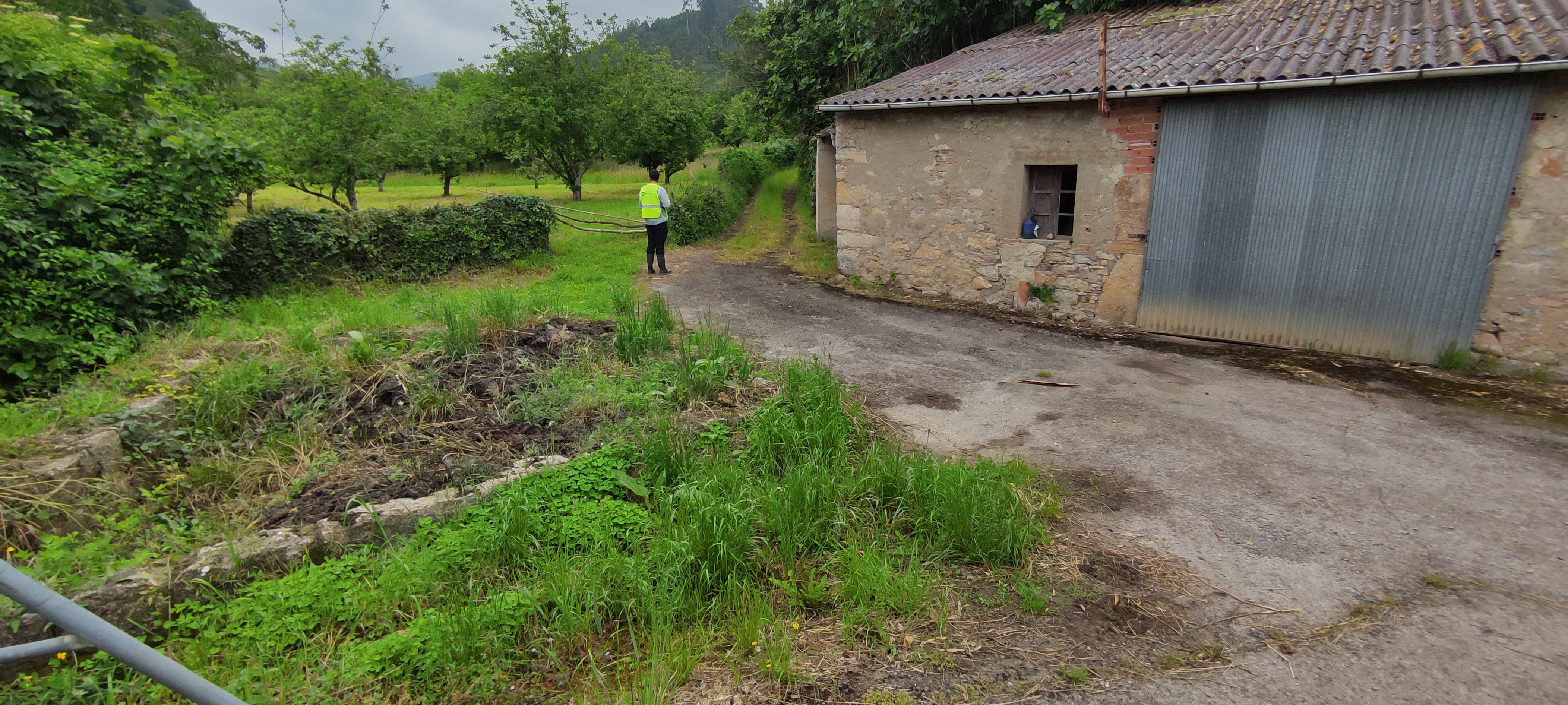 Foto del camino