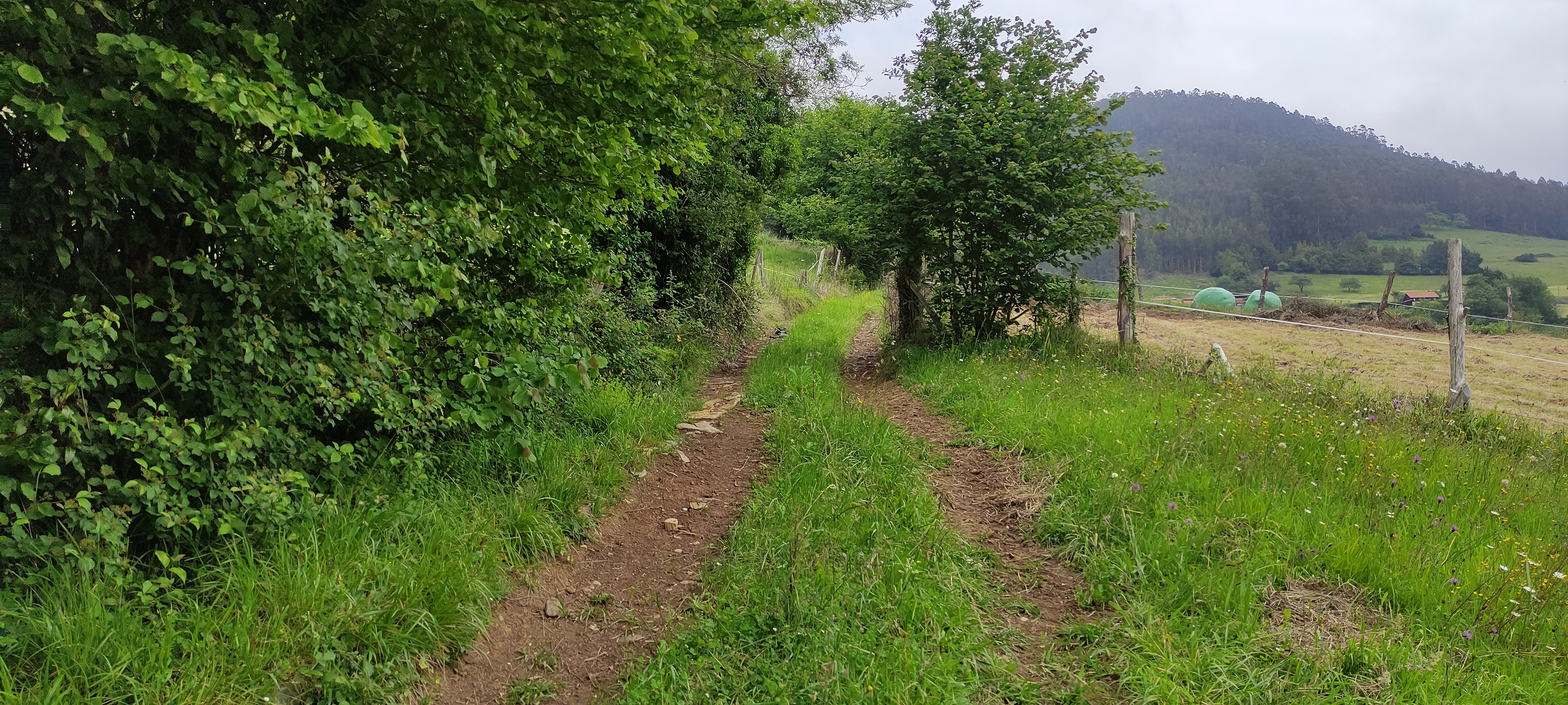 Foto del camino