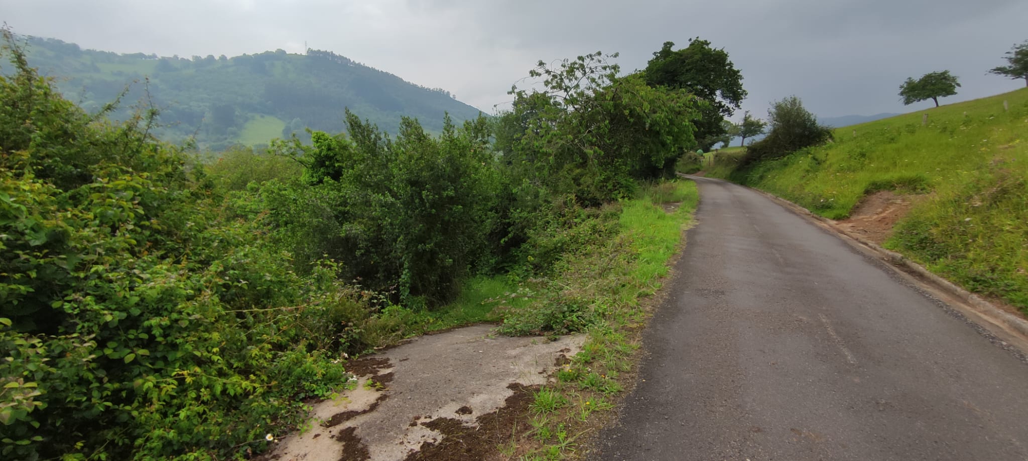 Foto del camino