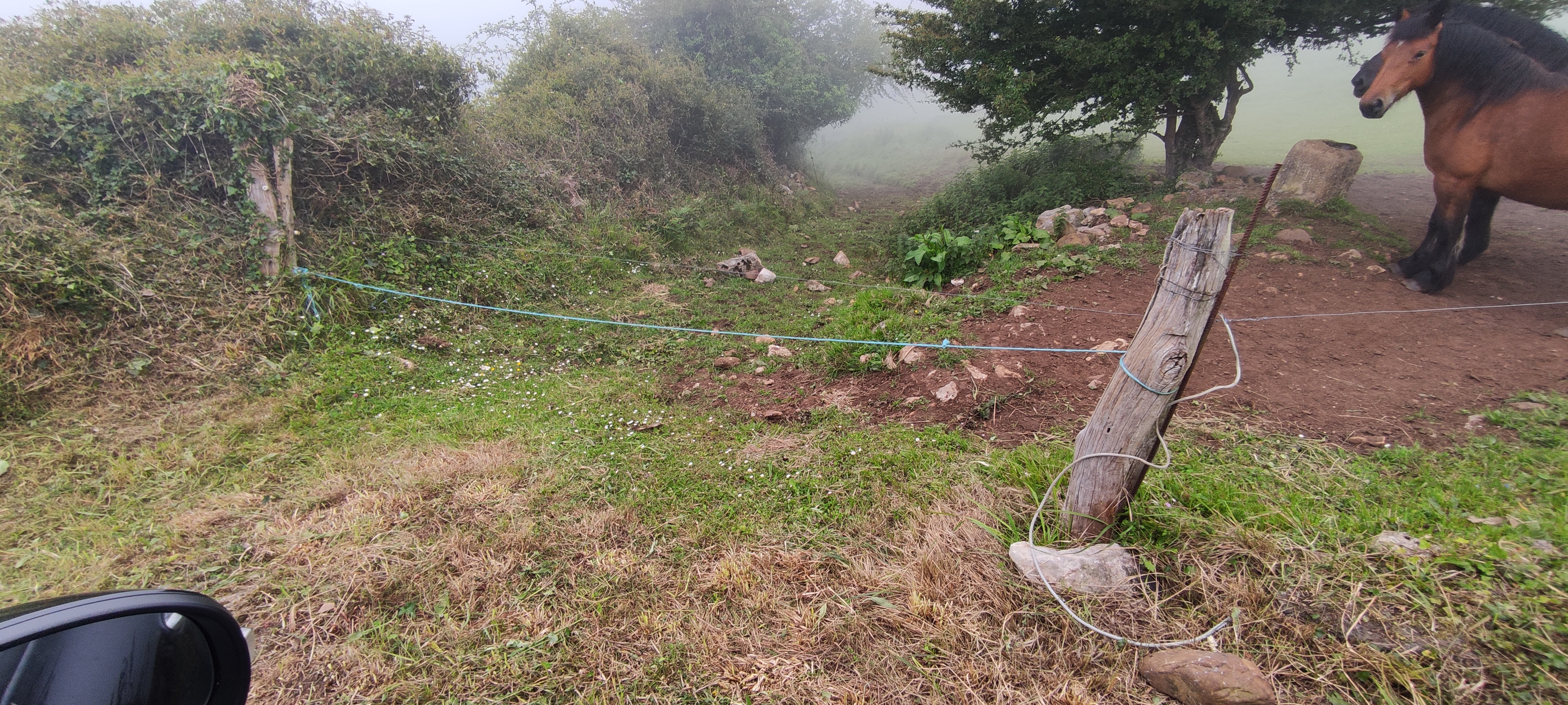 Foto del camino