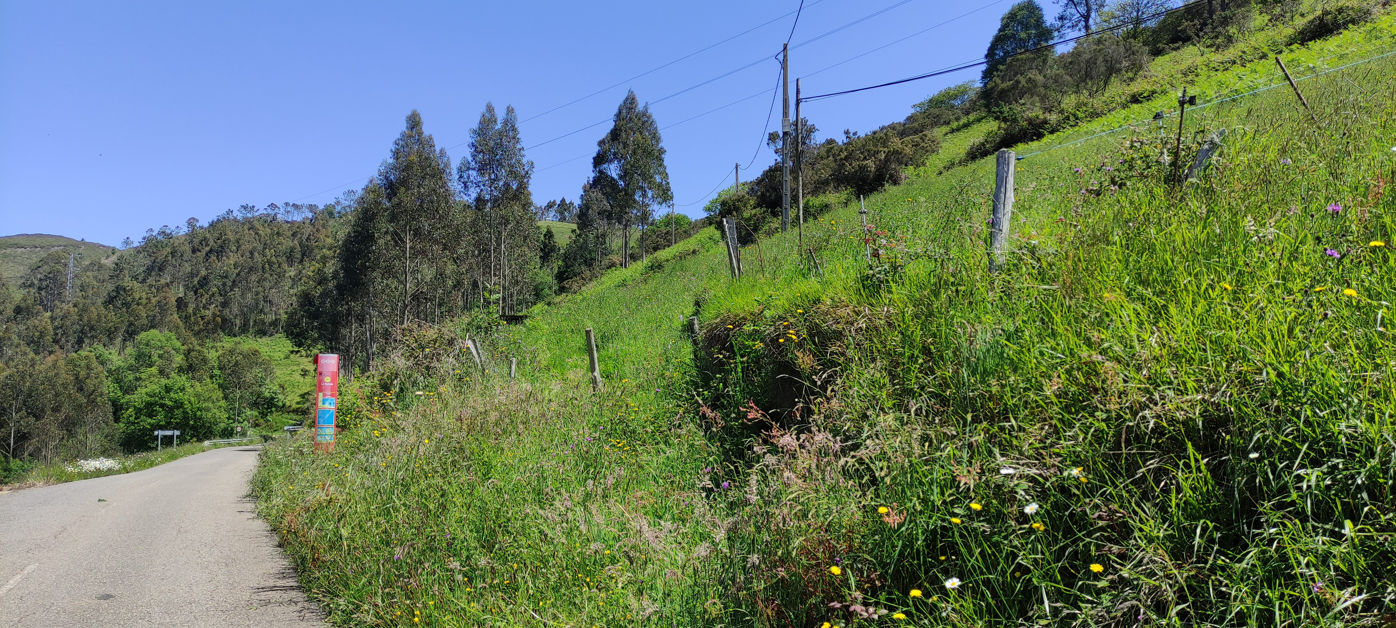 Foto del camino