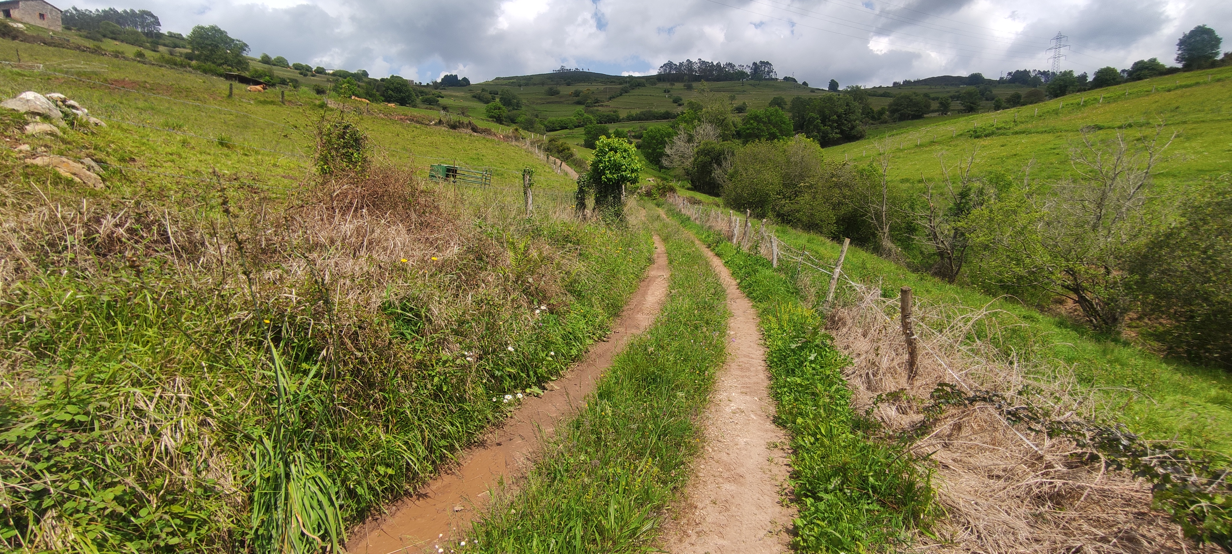 Foto del camino