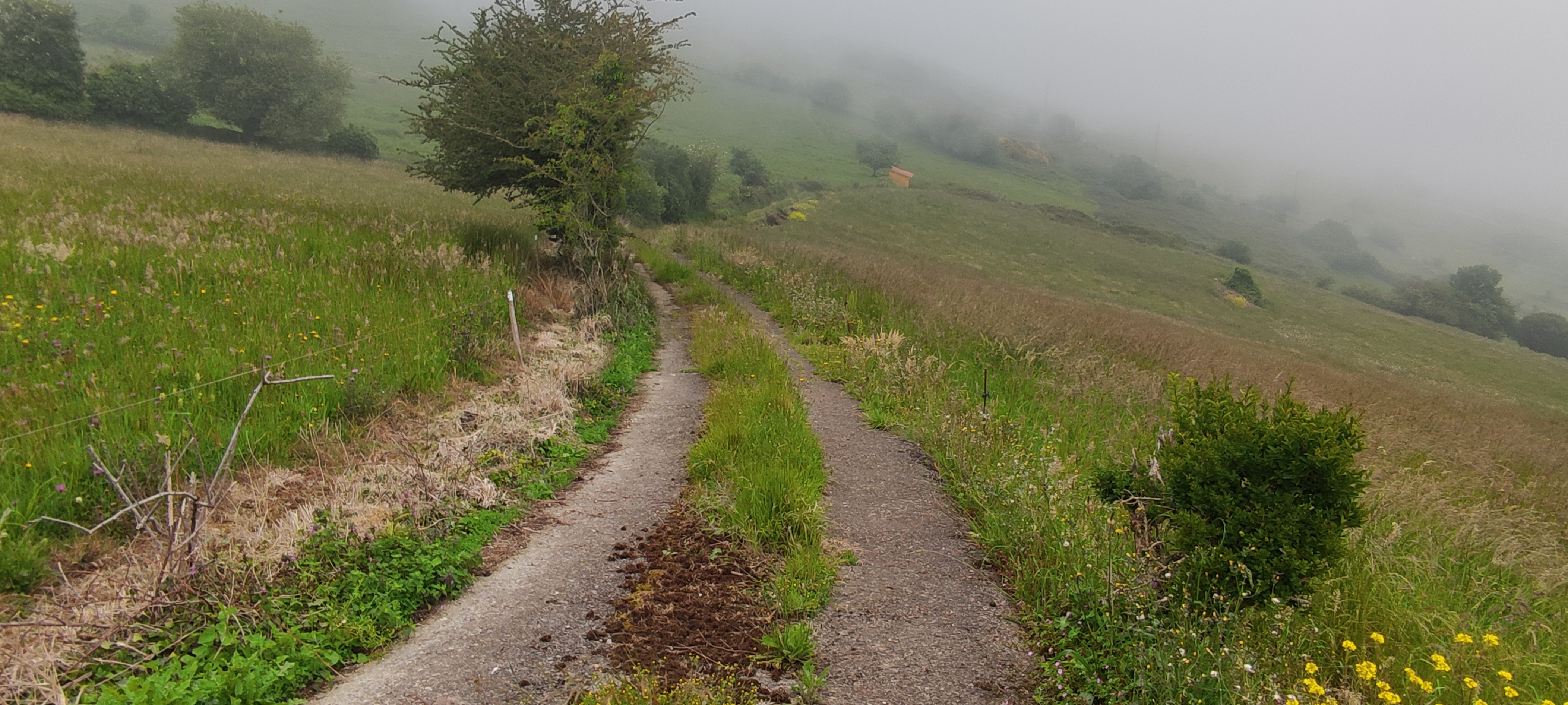 Foto del camino
