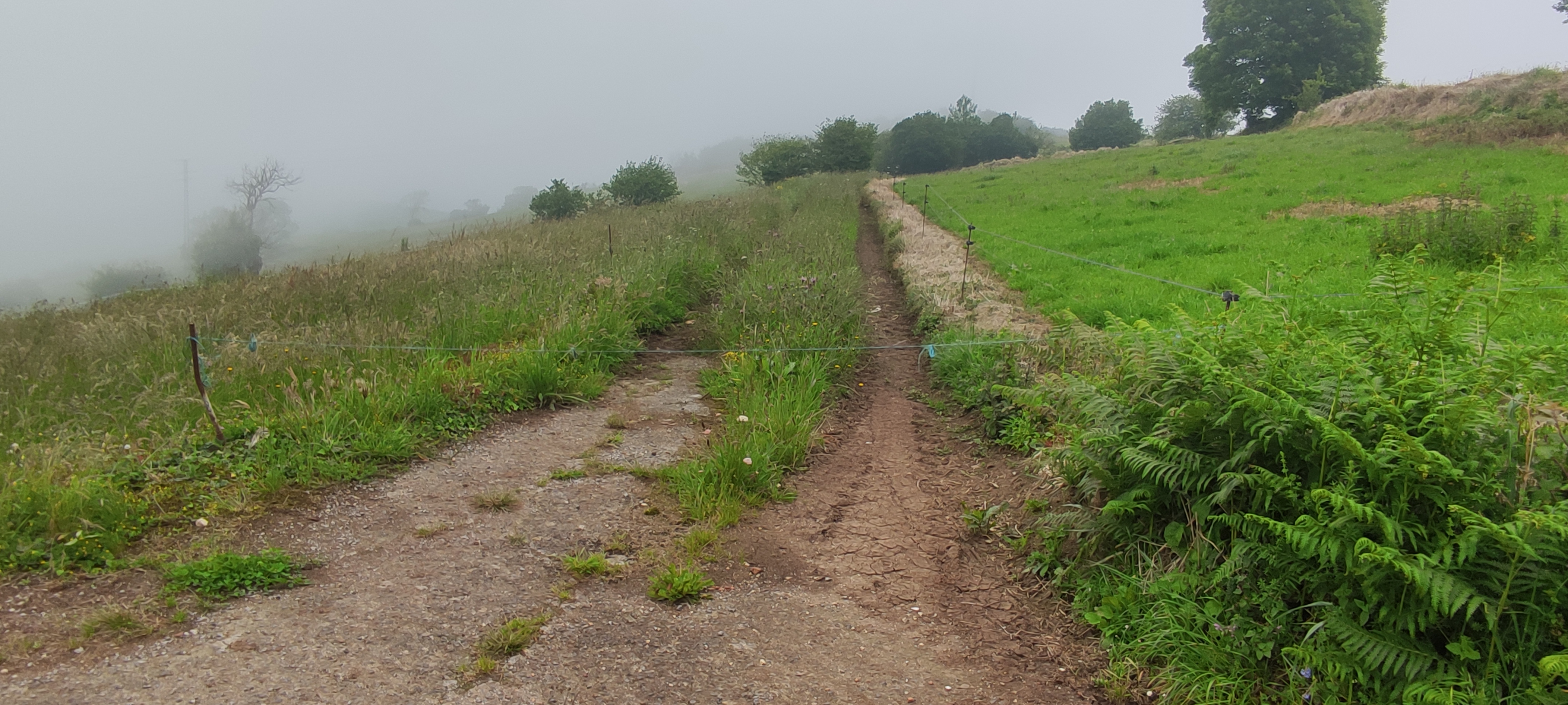 Foto del camino