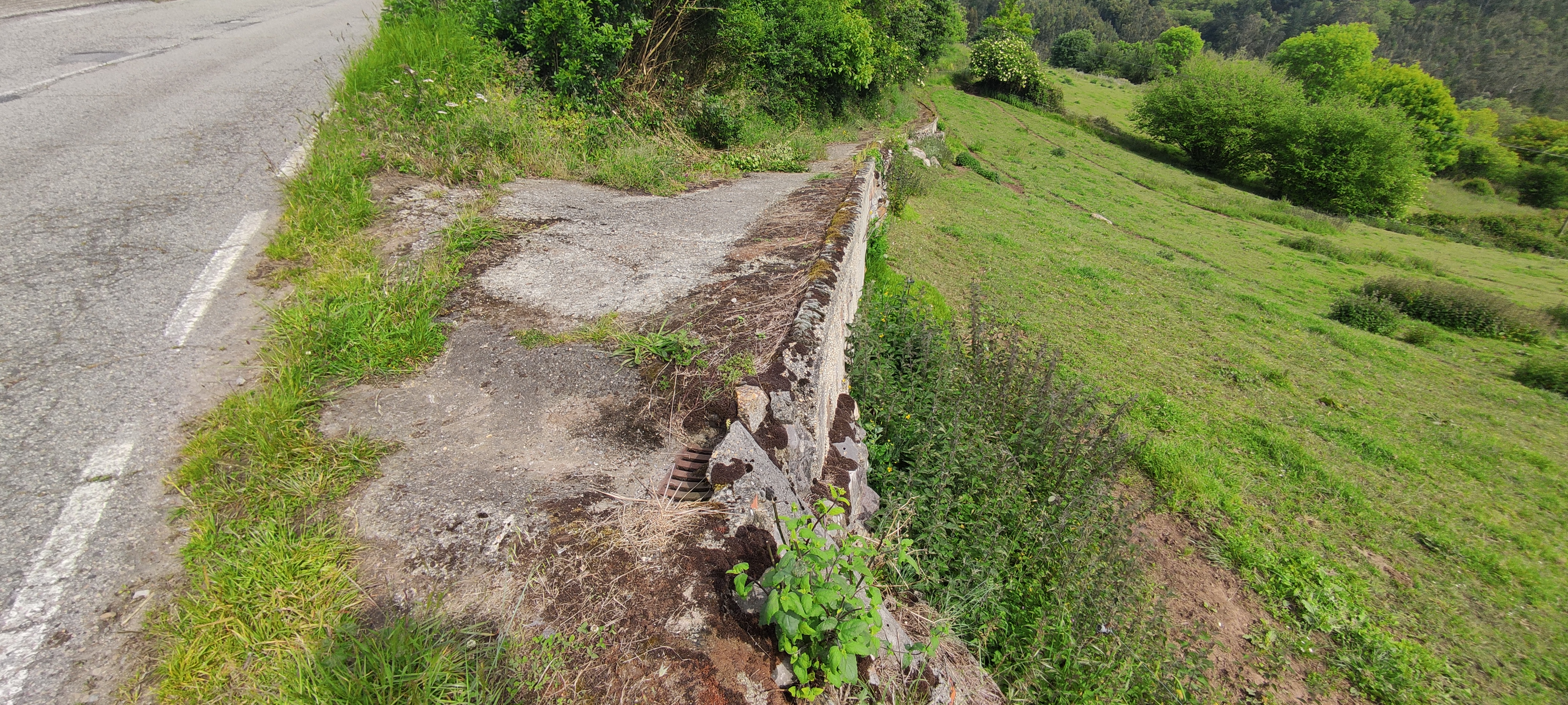 Foto del camino