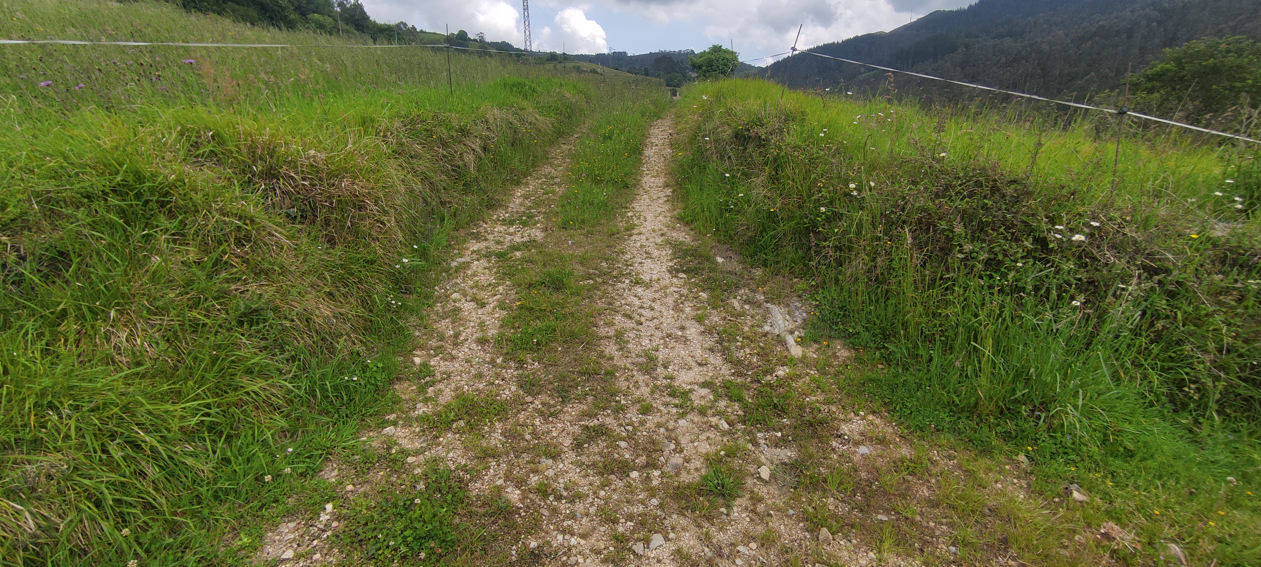 Foto del camino