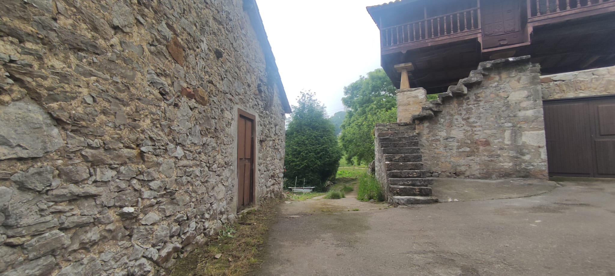 Foto del camino