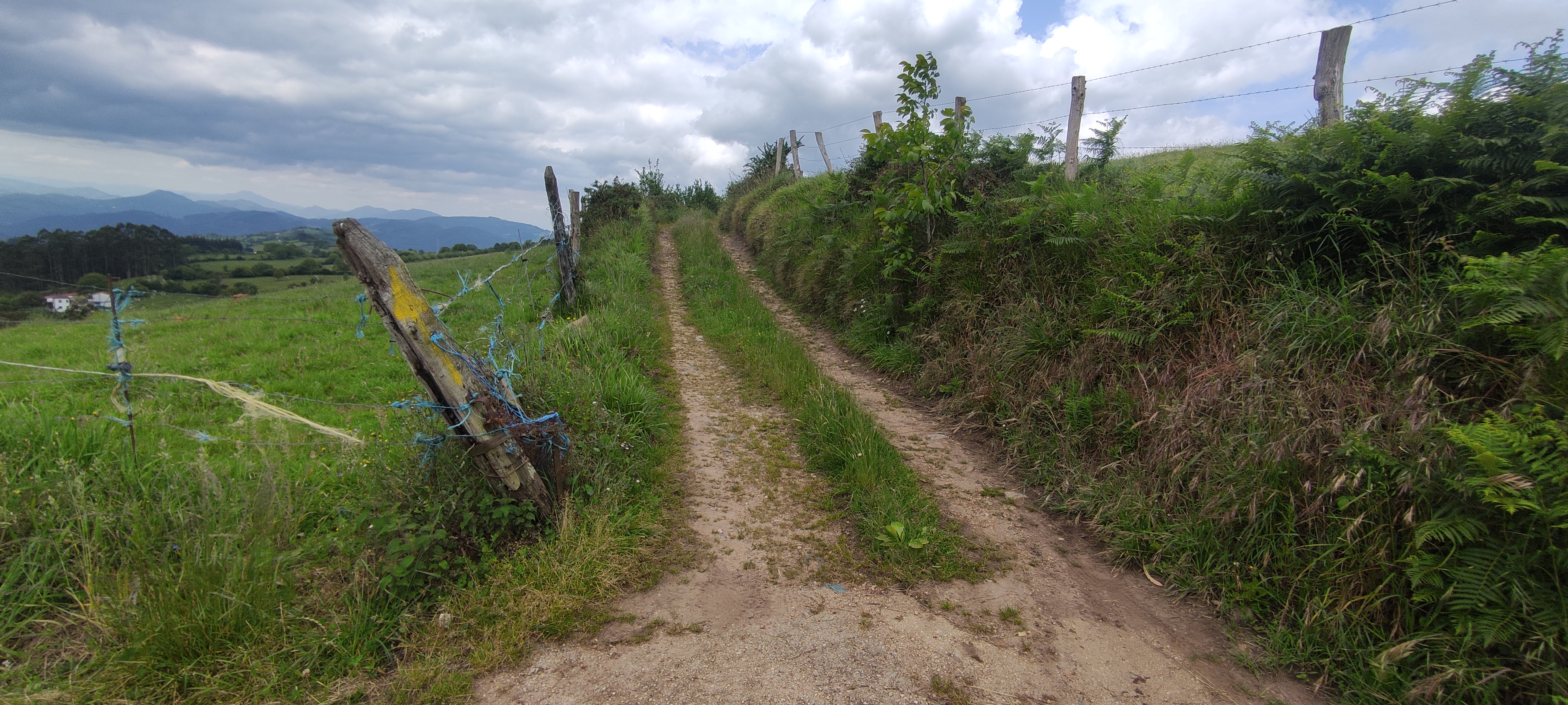 Foto del camino