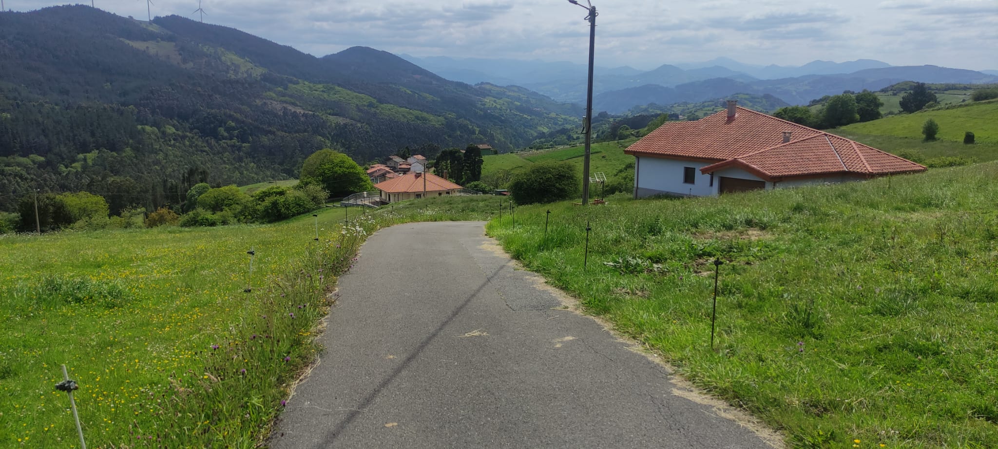 Foto del camino