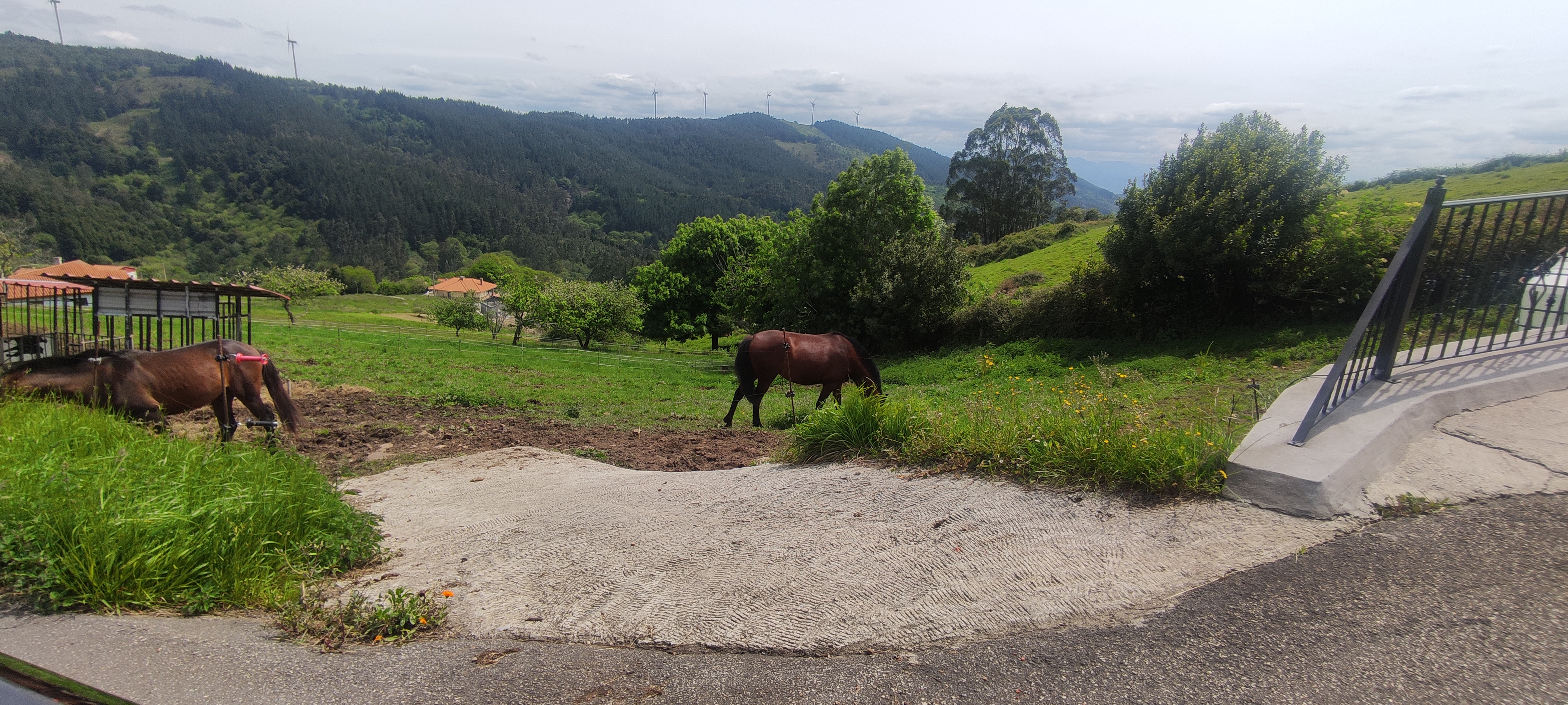 Foto del camino
