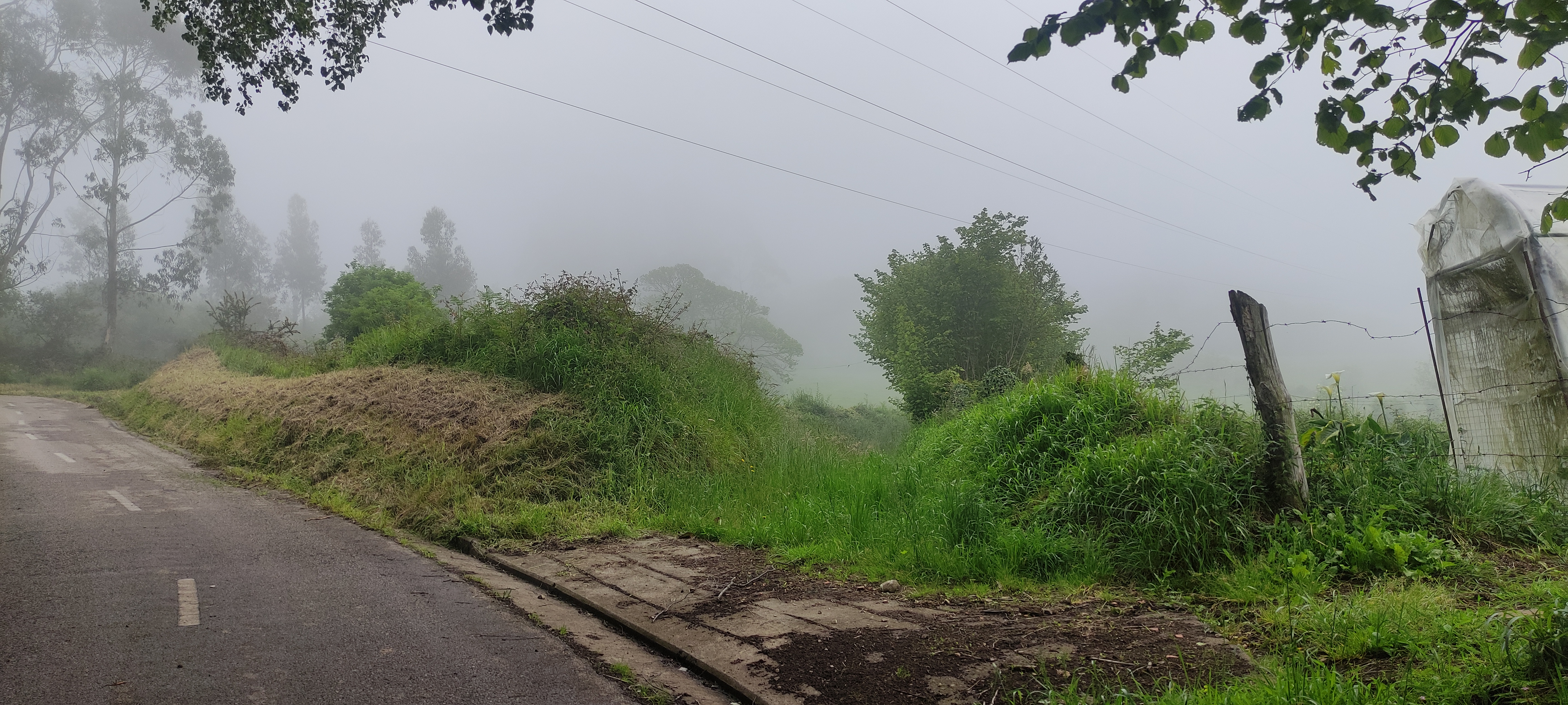 Foto del camino