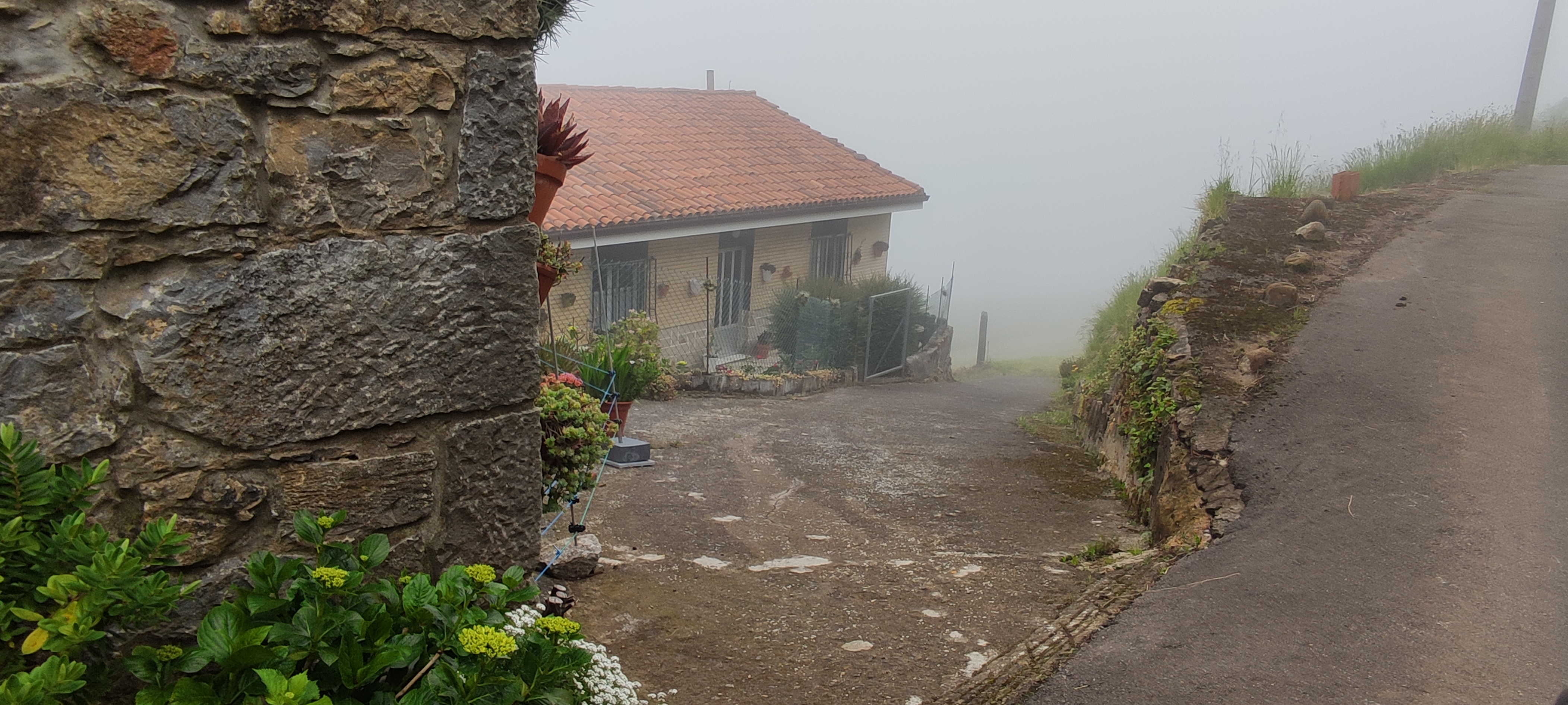 Foto del camino