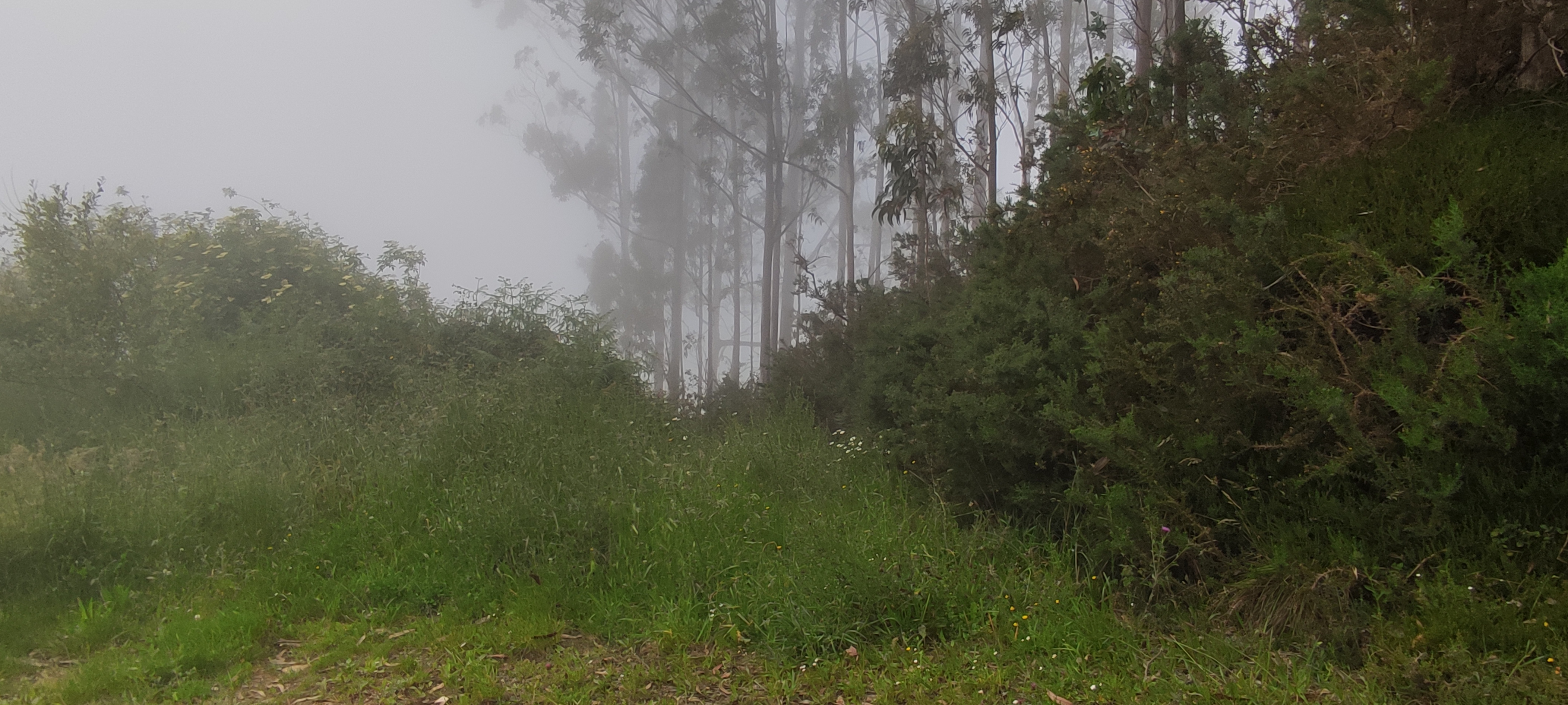 Foto del camino