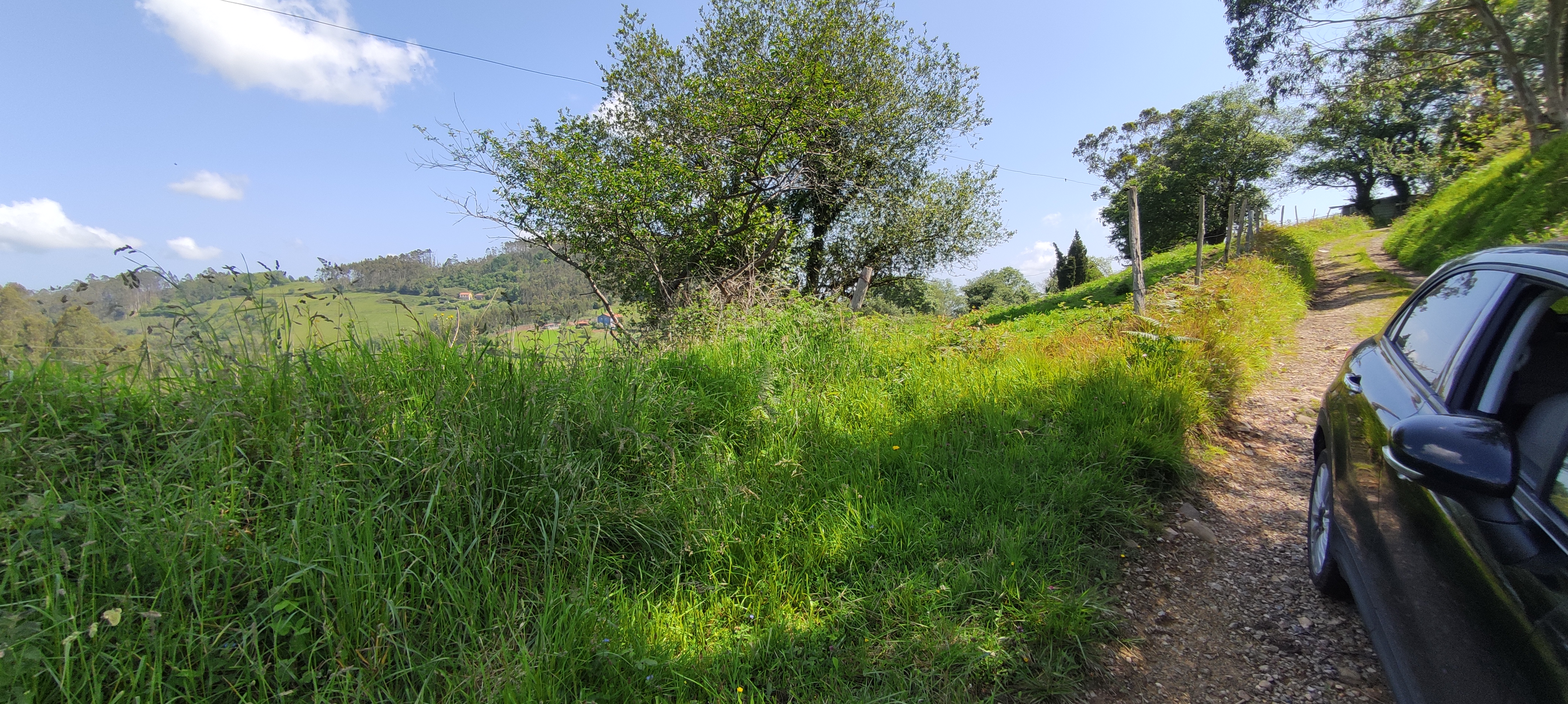 Foto del camino