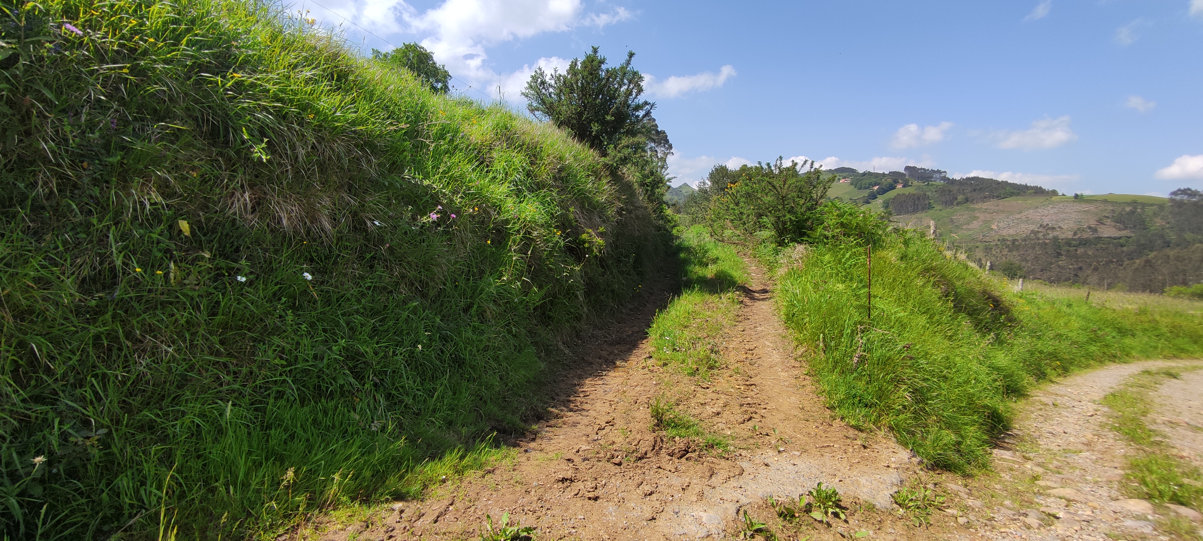 Foto del camino
