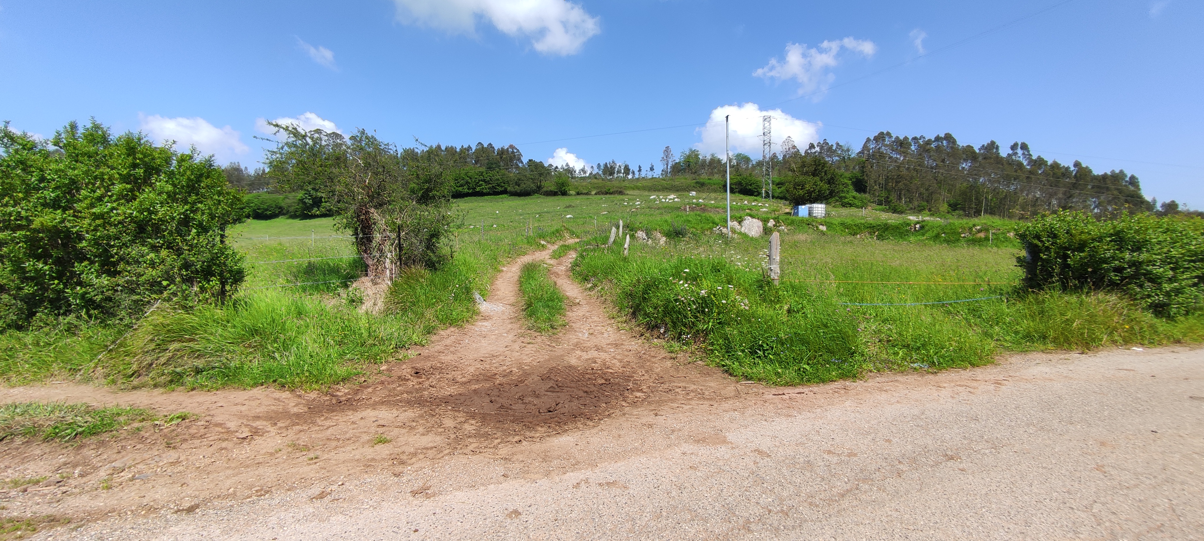 Foto del camino