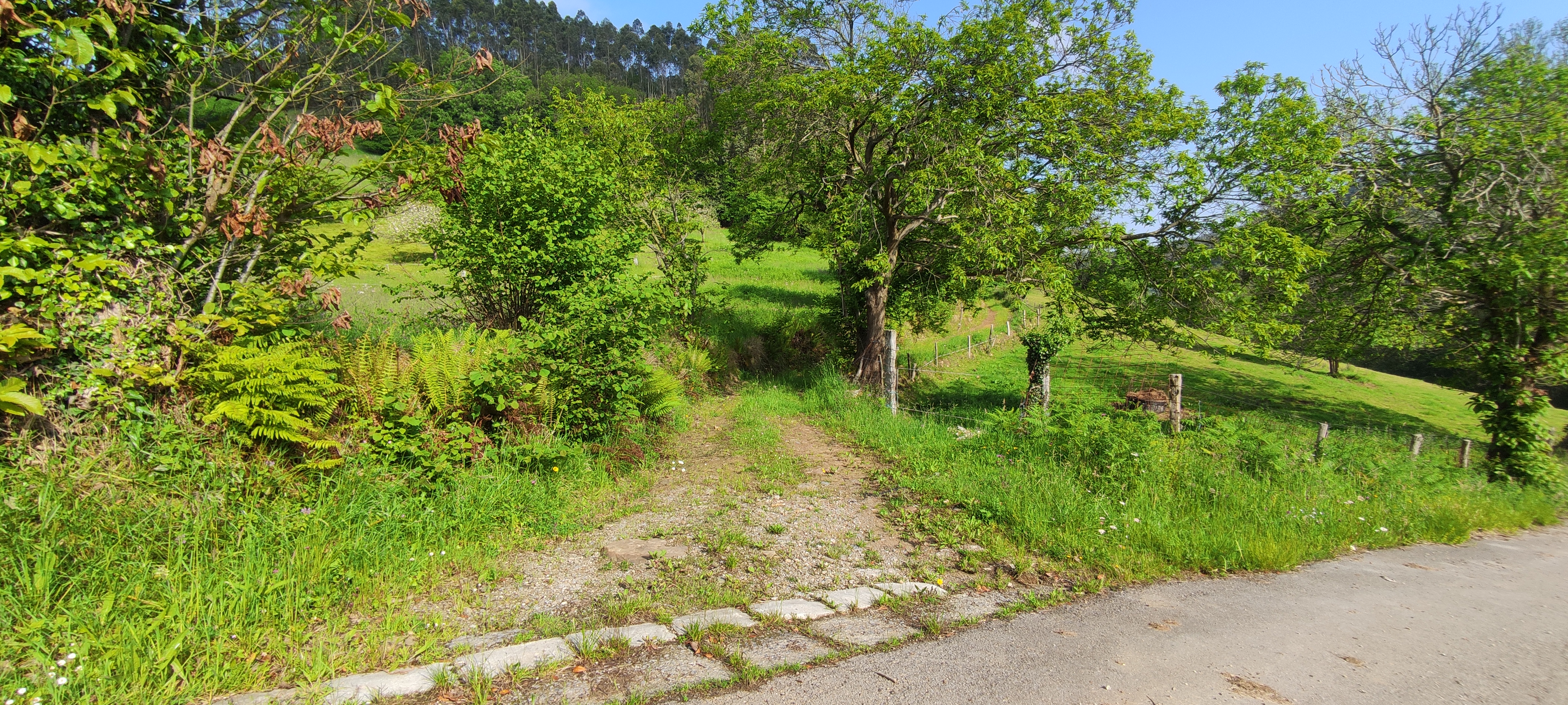 Foto del camino