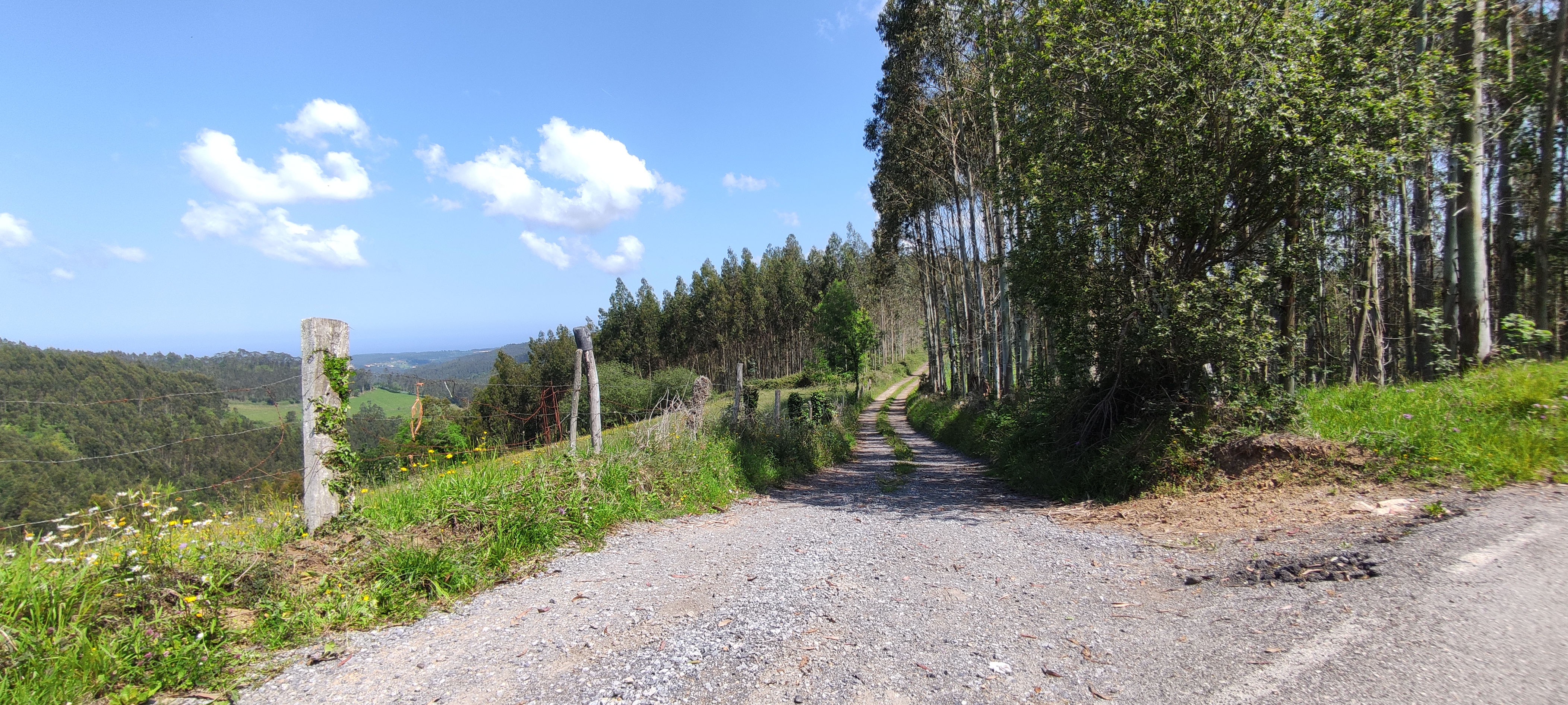 Foto del camino