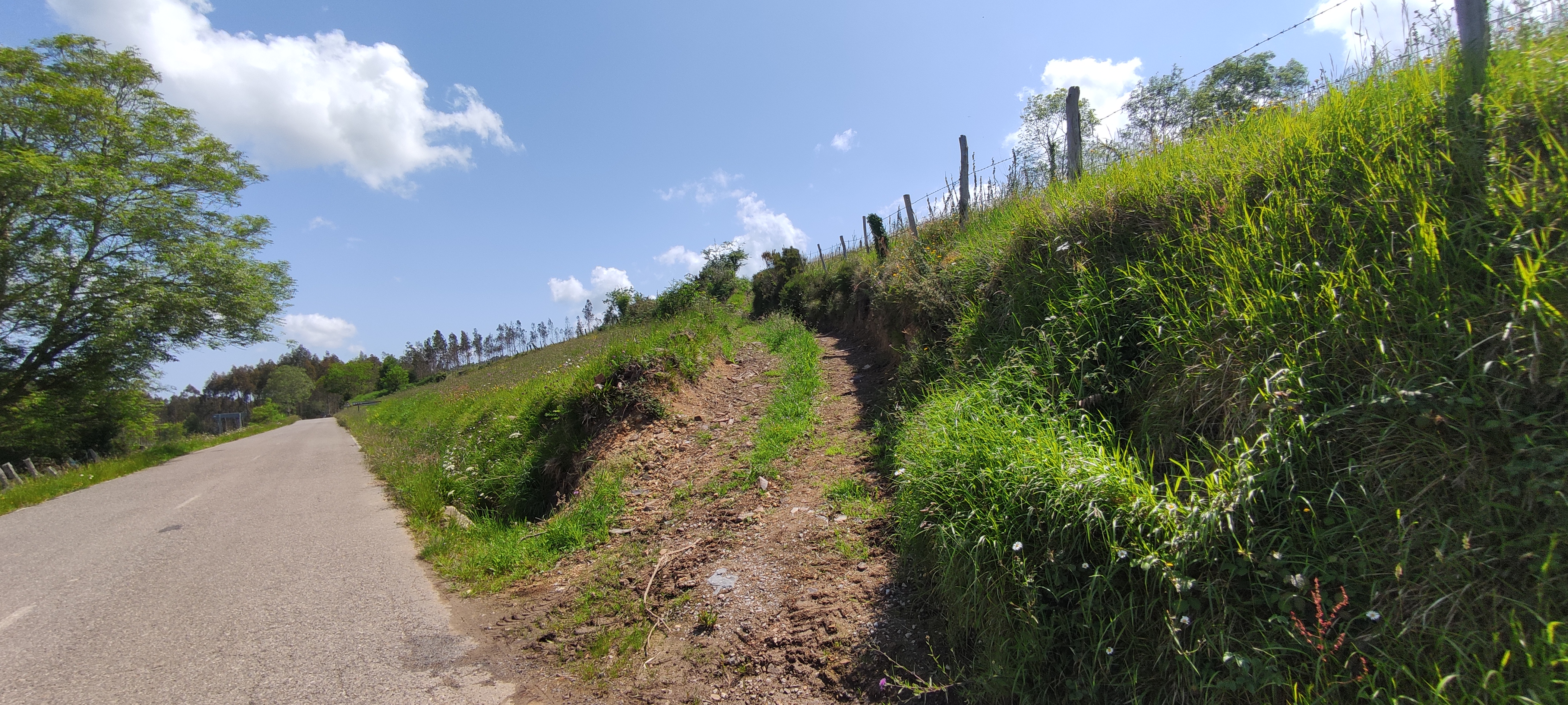 Foto del camino