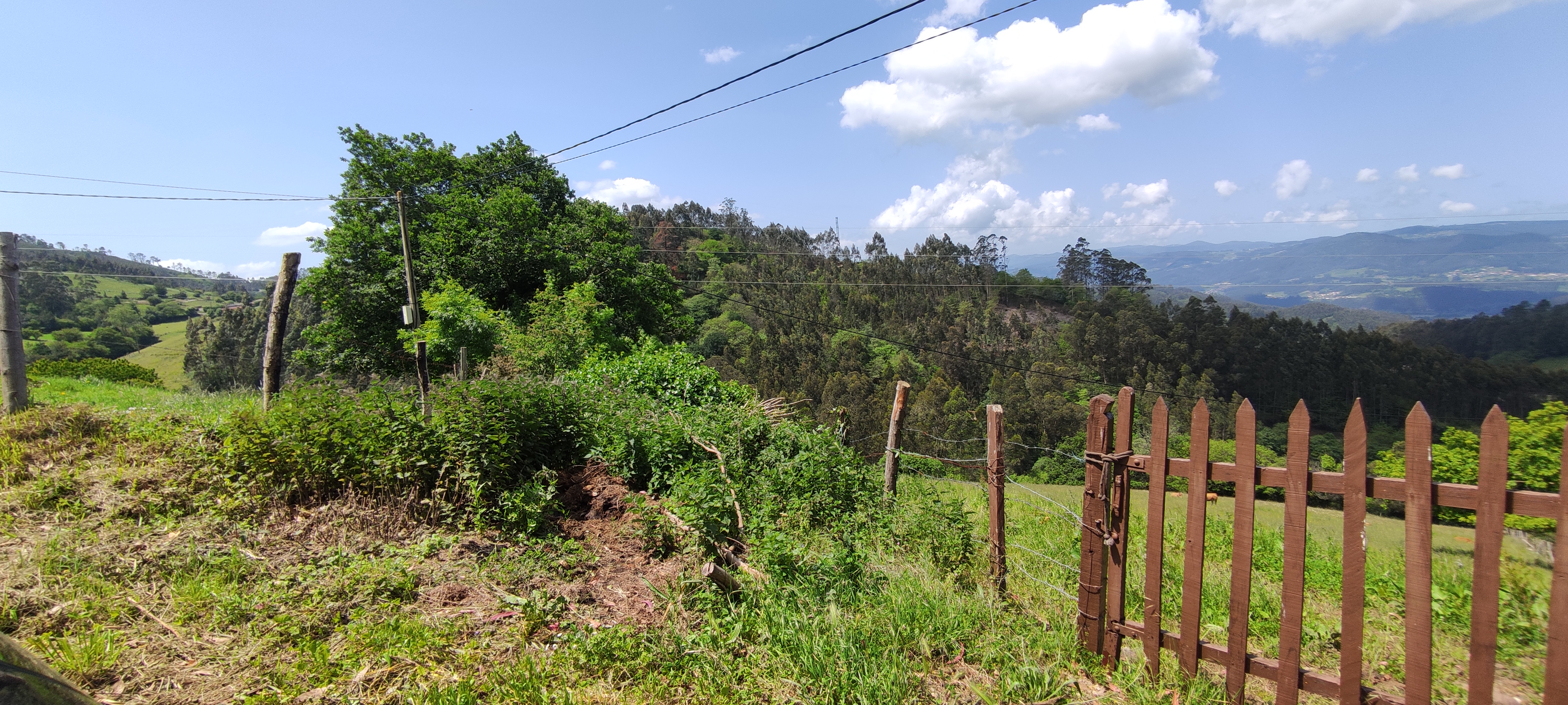 Foto del camino