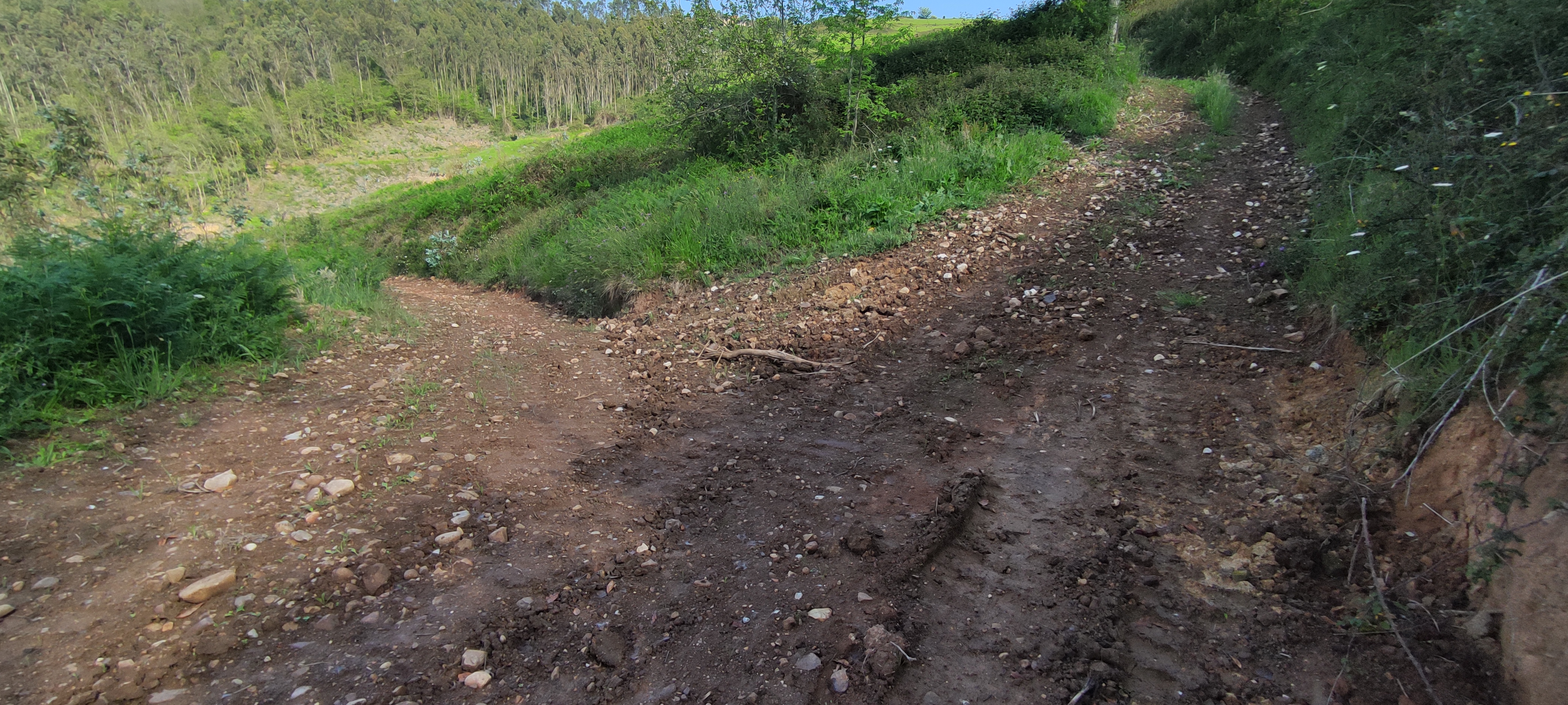 Foto del camino