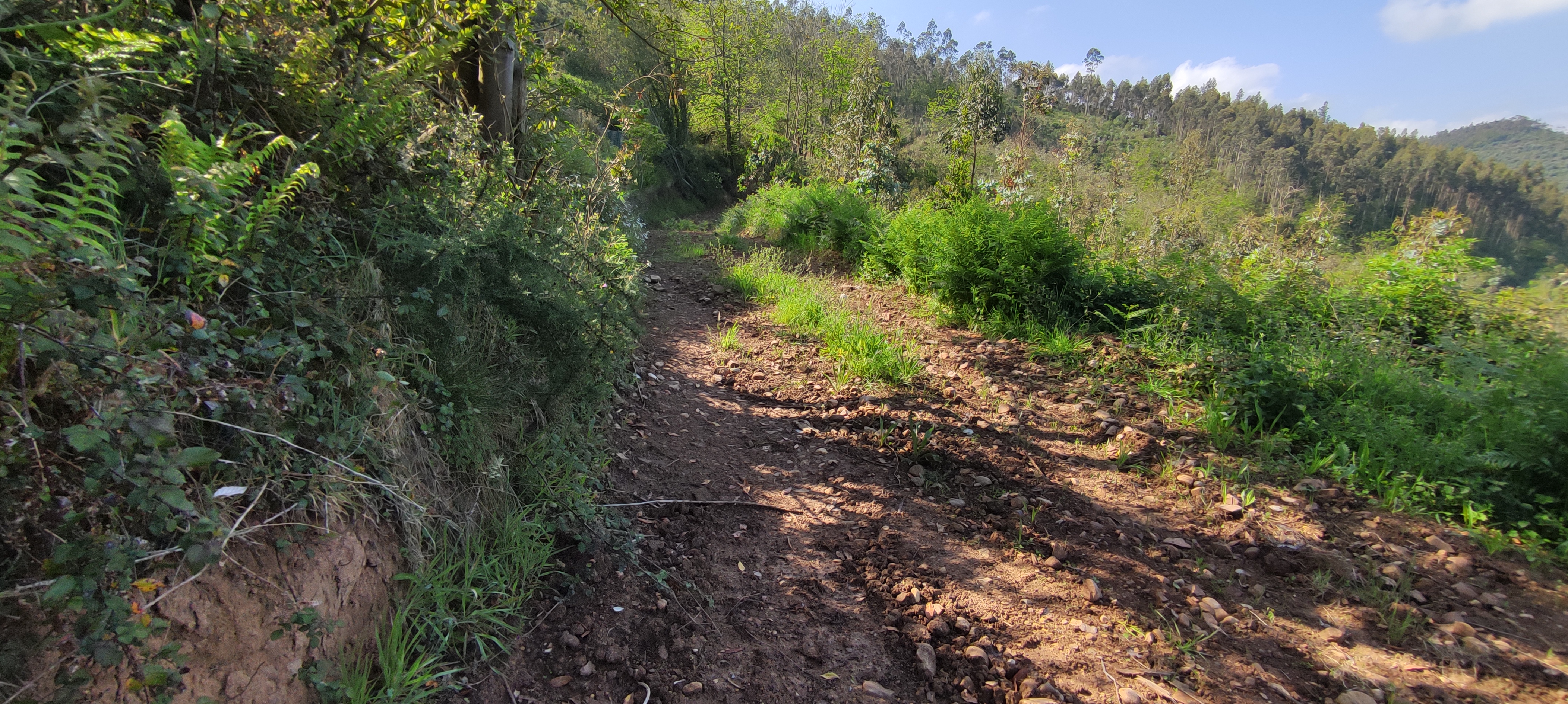 Foto del camino