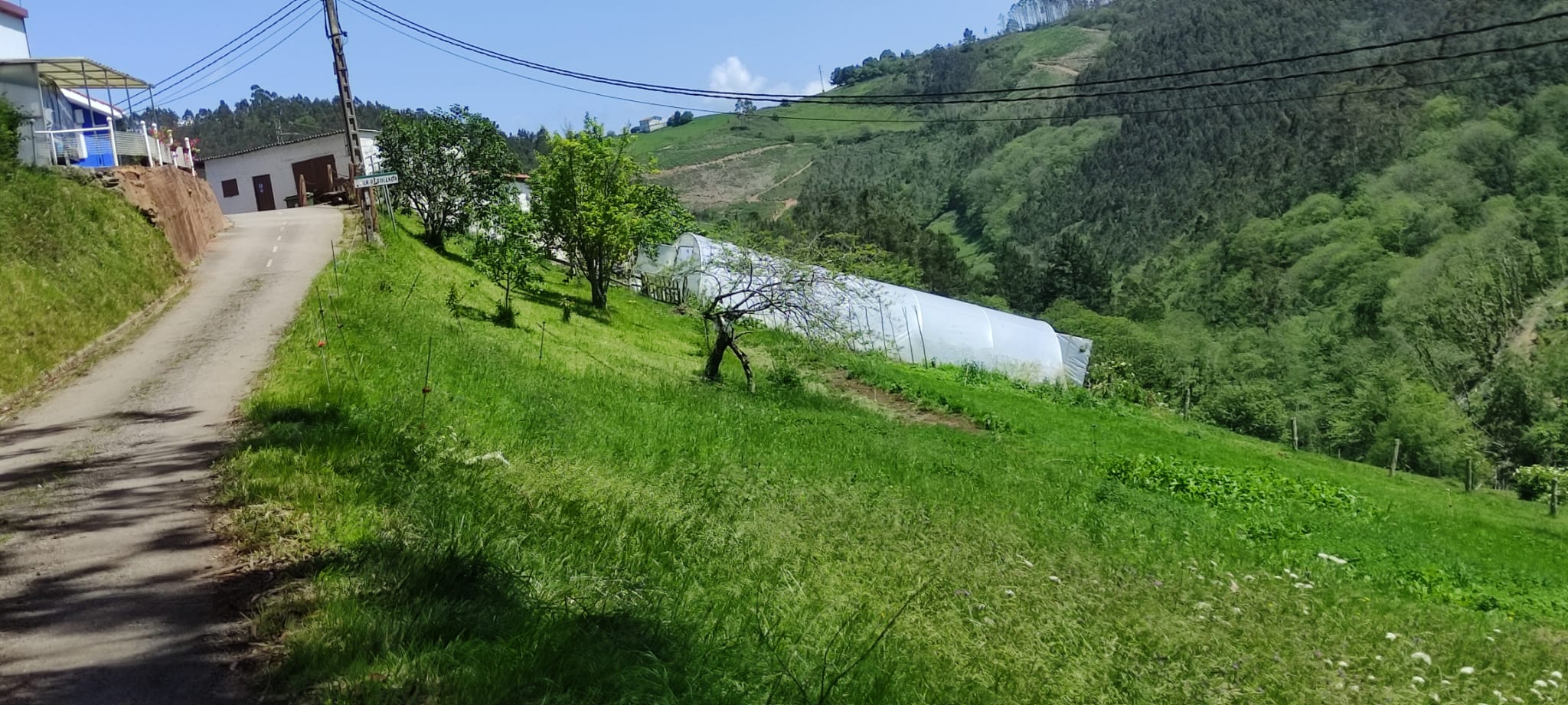 Foto del camino