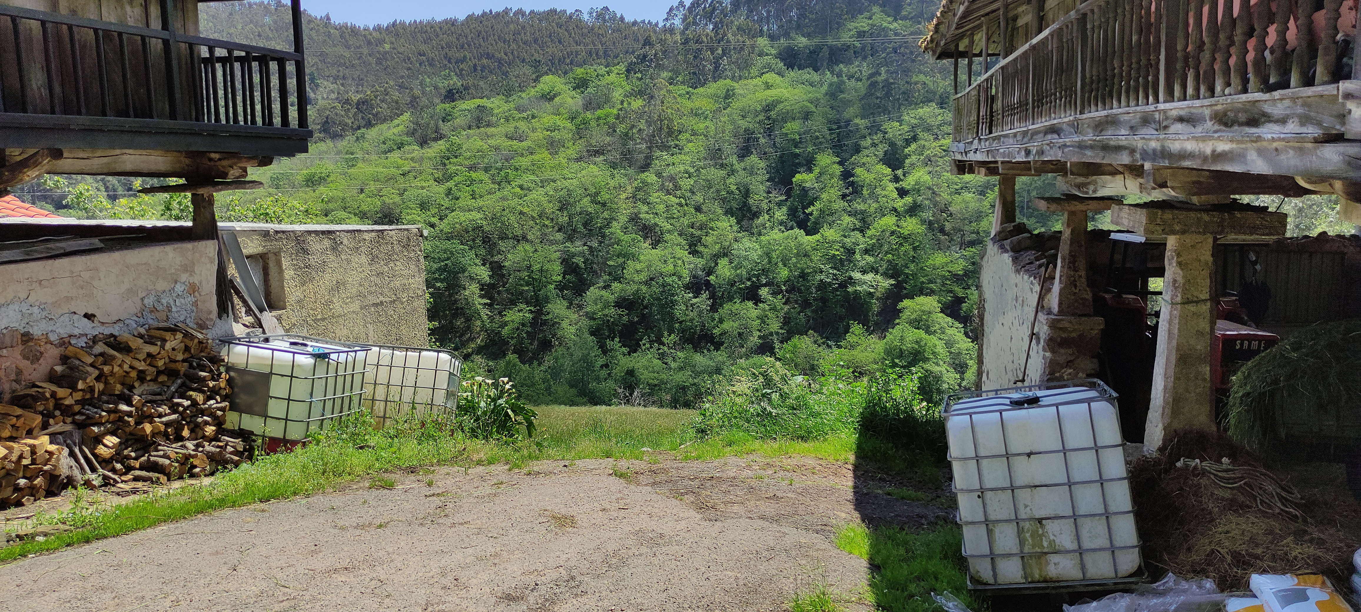 Foto del camino