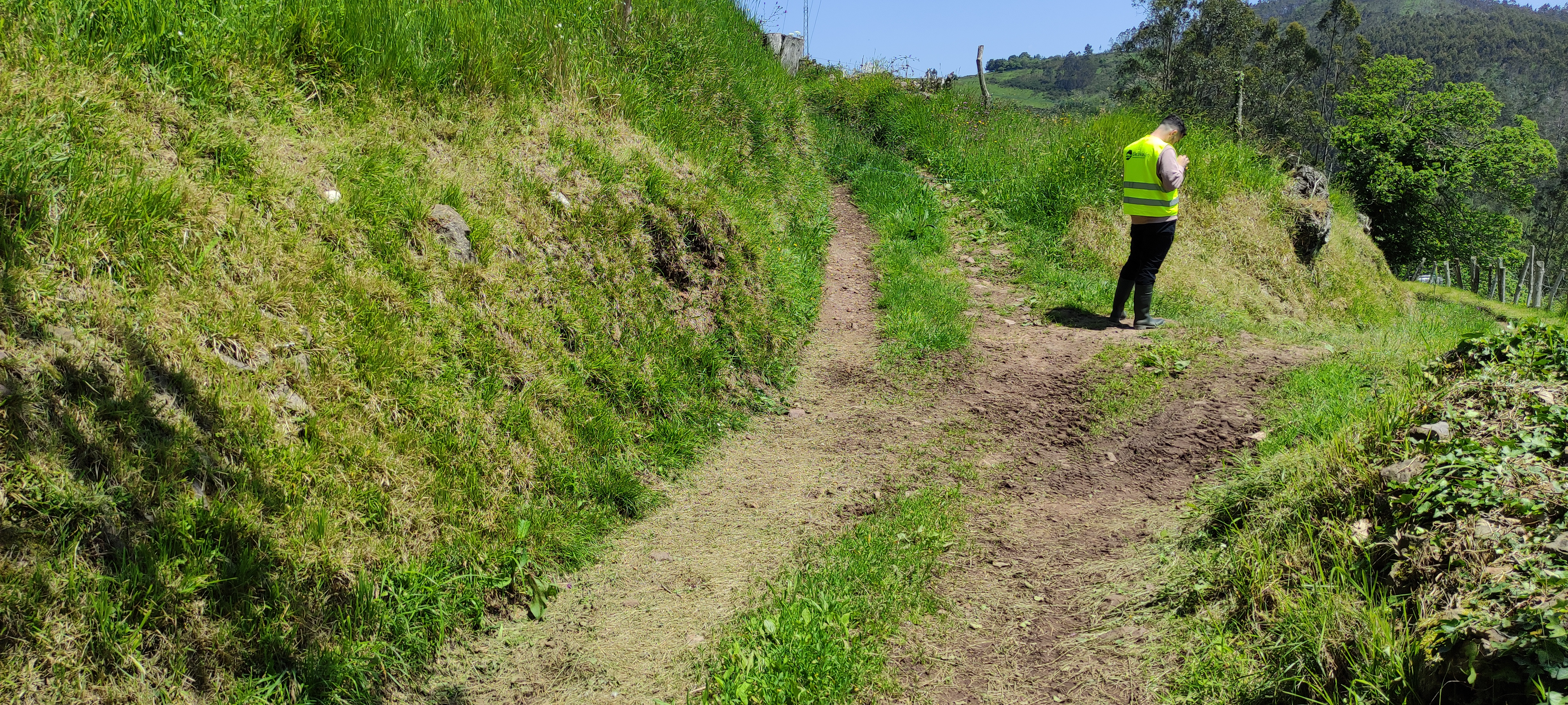 Foto del camino
