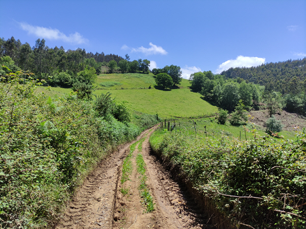 Foto del camino