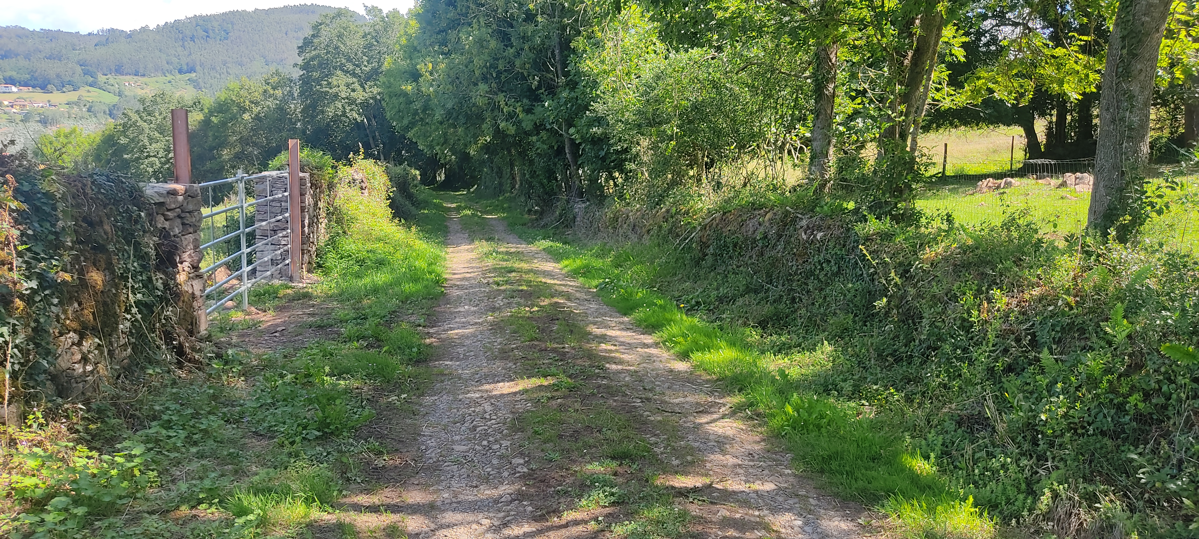 Foto del camino