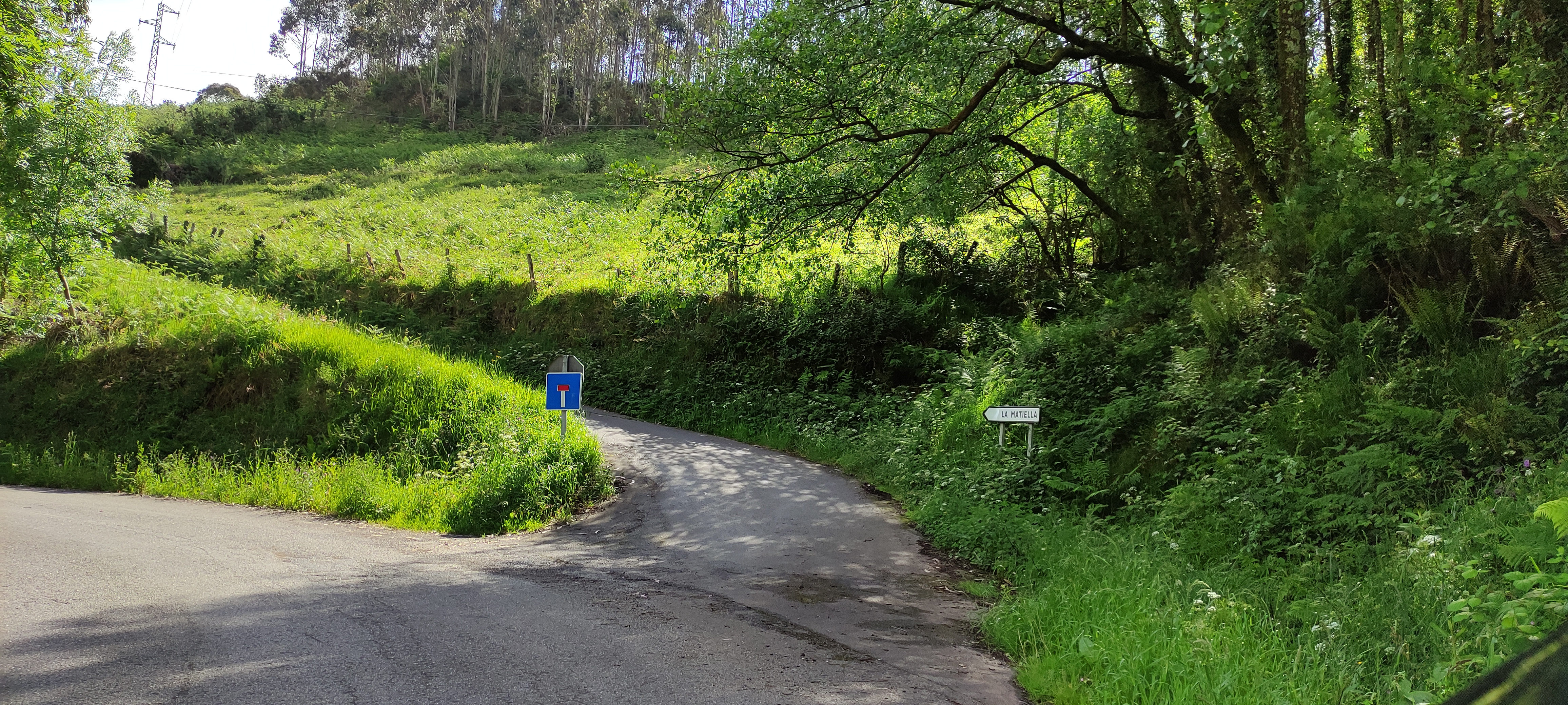 Foto del camino
