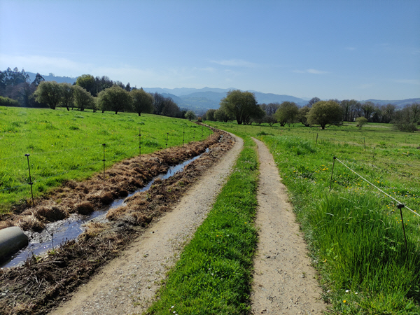 Foto del camino