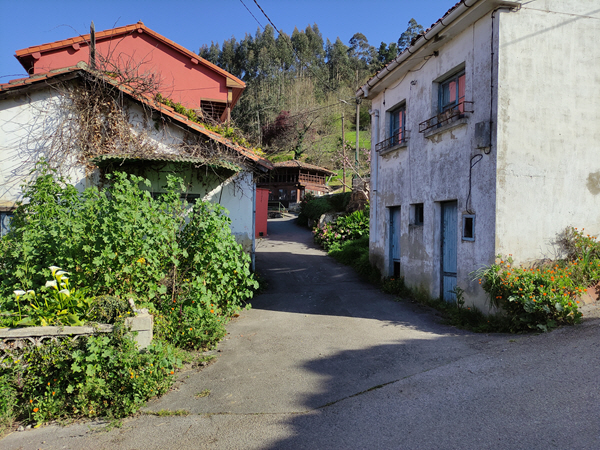 Foto del camino