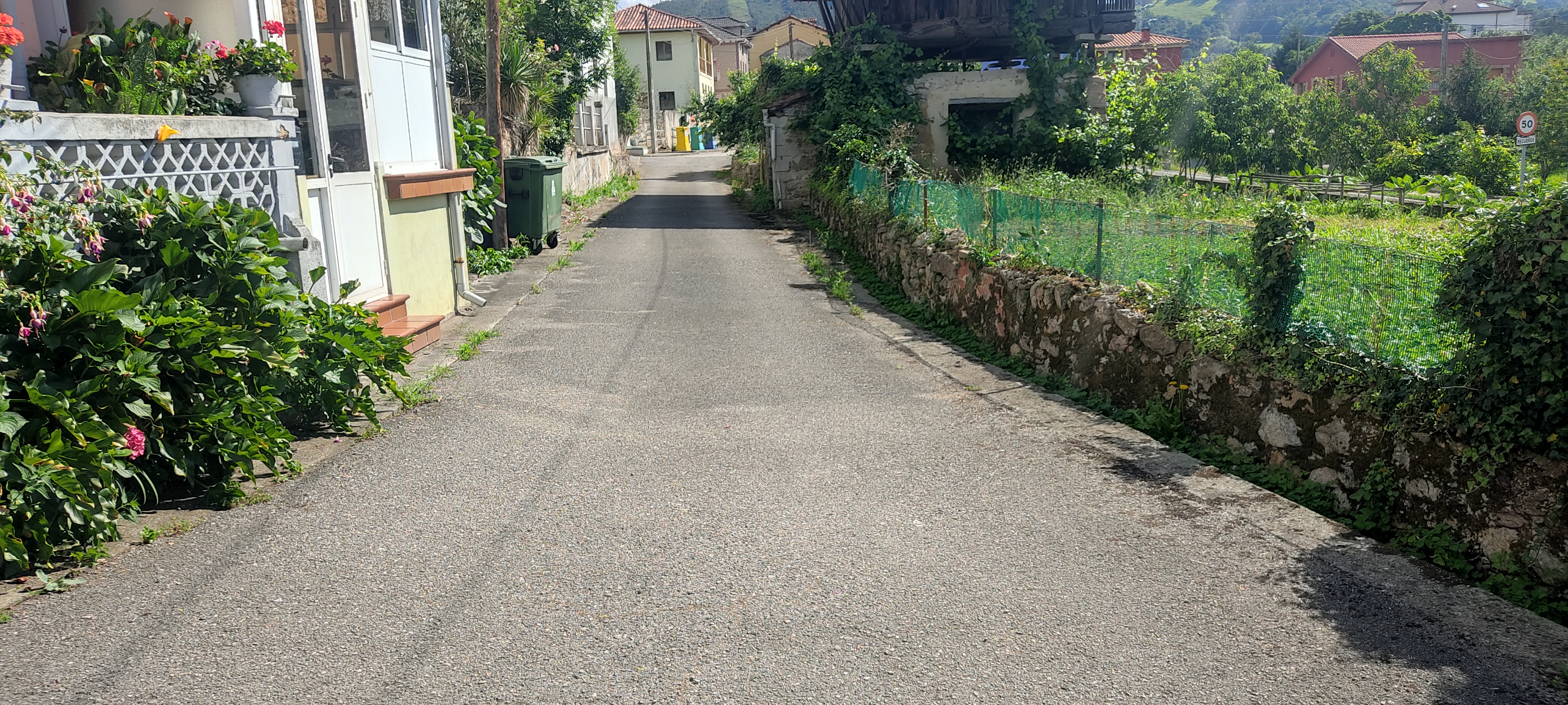 Foto del camino