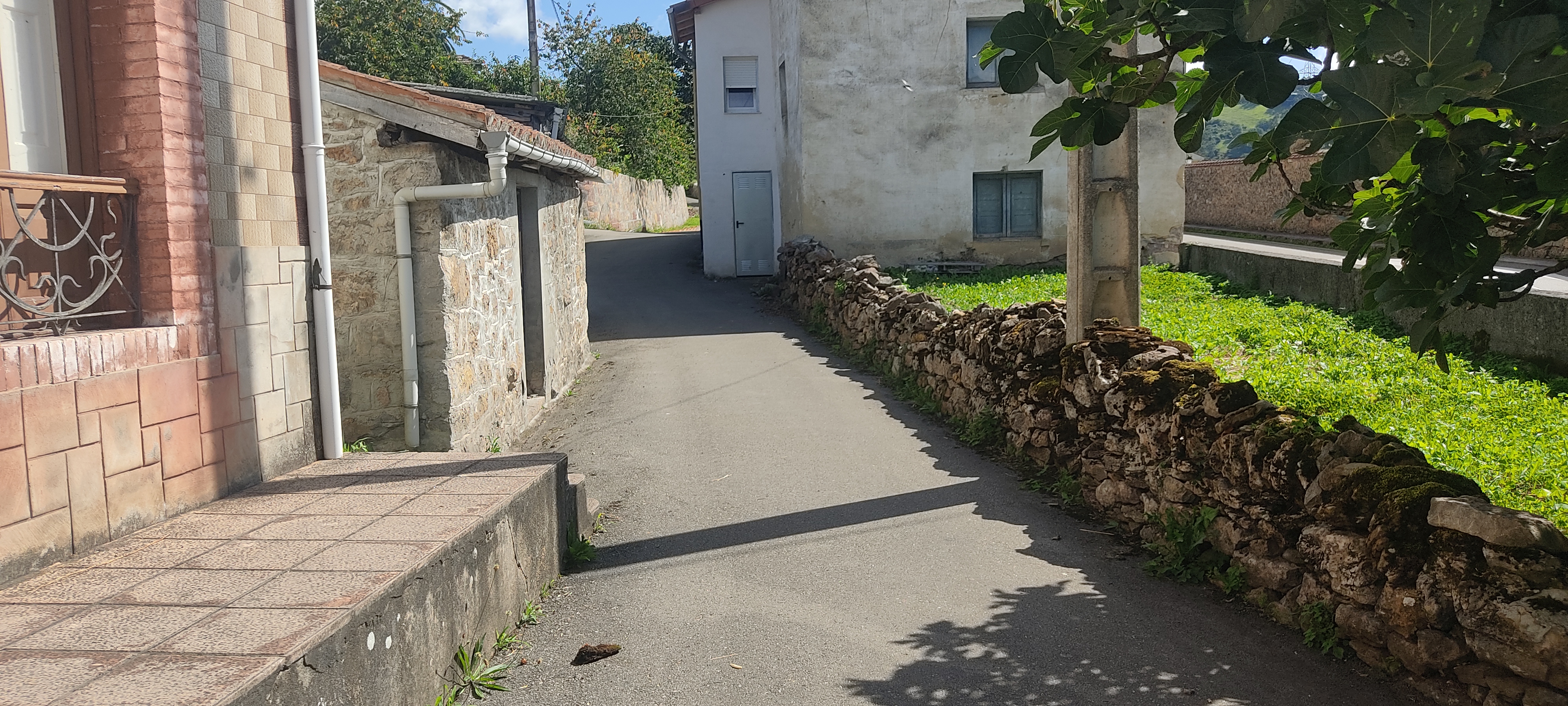 Foto del camino